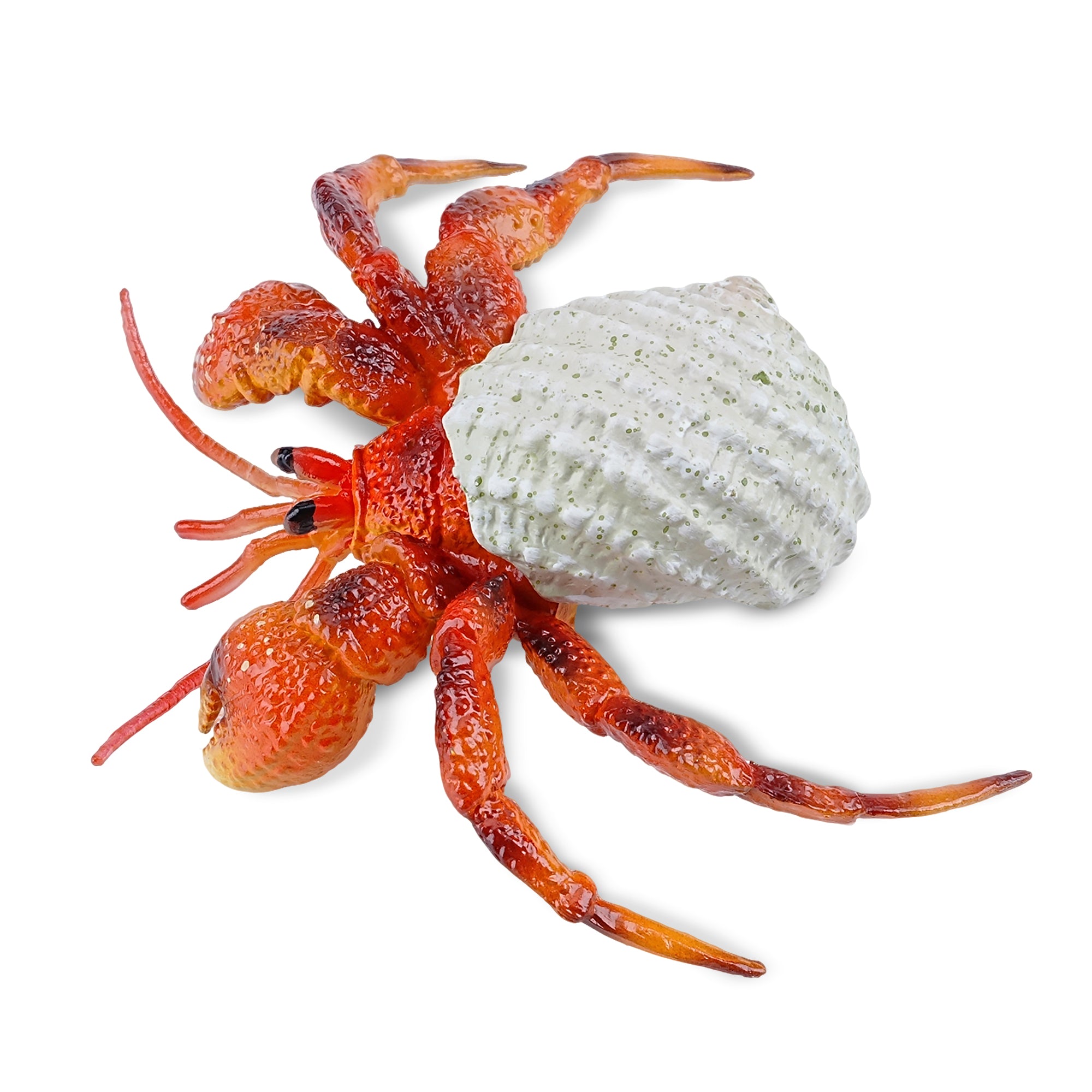 Toymany_Hermit_Crab_Figurine_Toy_Small_Size-2