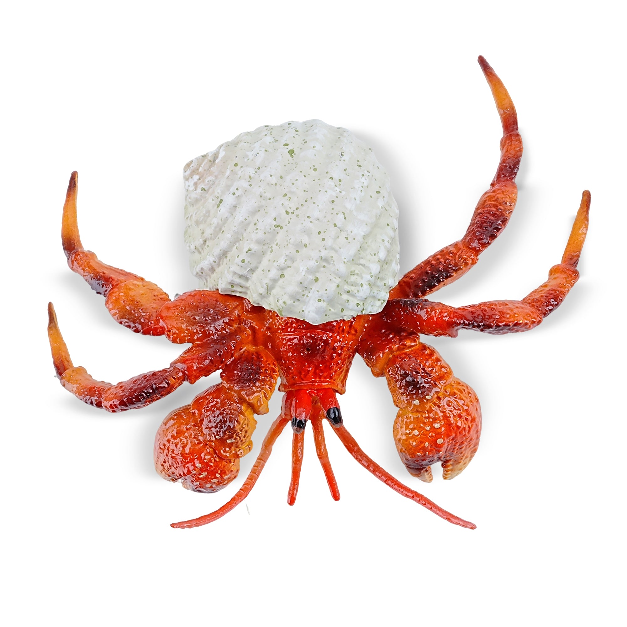 Toymany_Hermit_Crab_Figurine_Toy_Small_Size-4