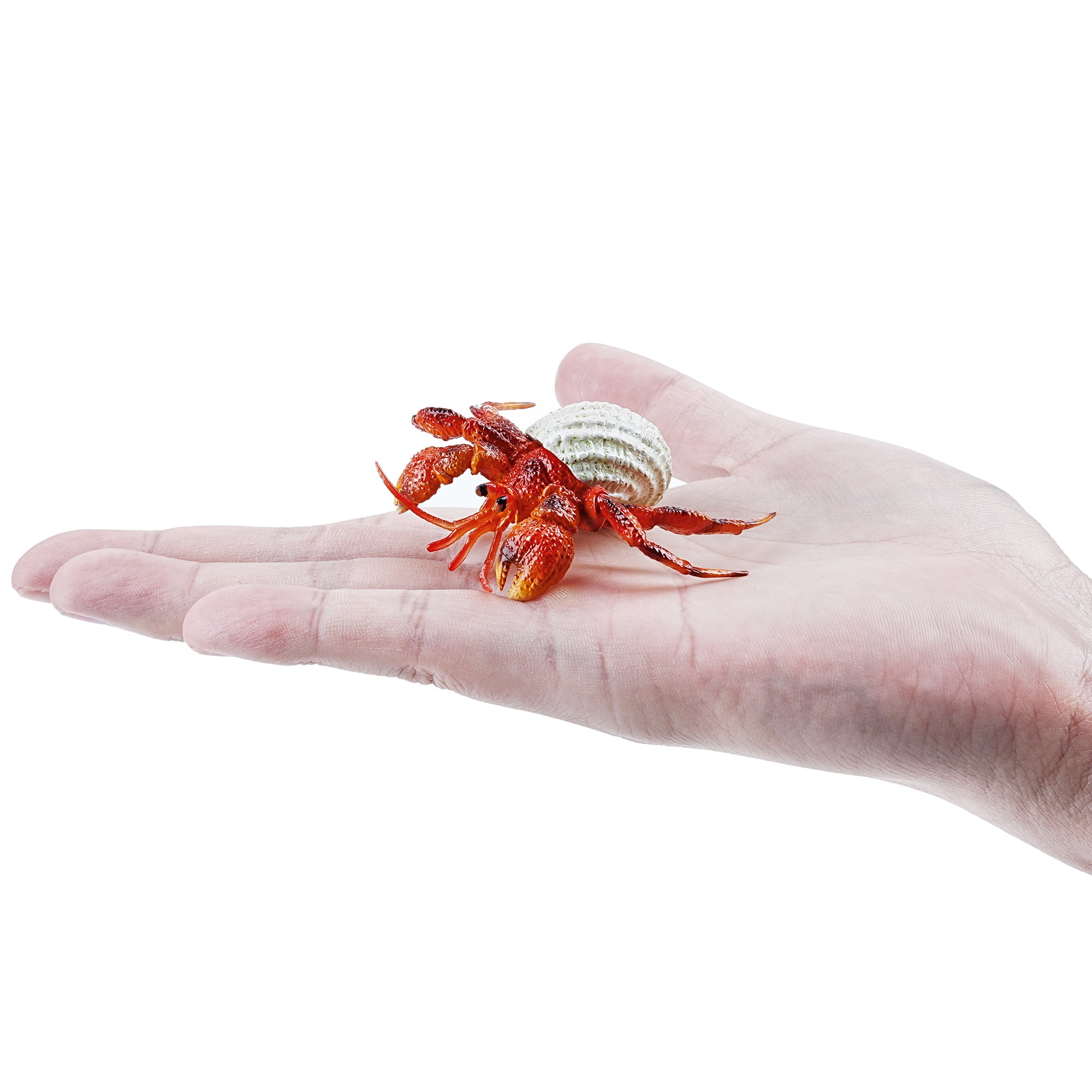 Toymany_Hermit_Crab_Figurine_Toy_Small_Size-on_hand