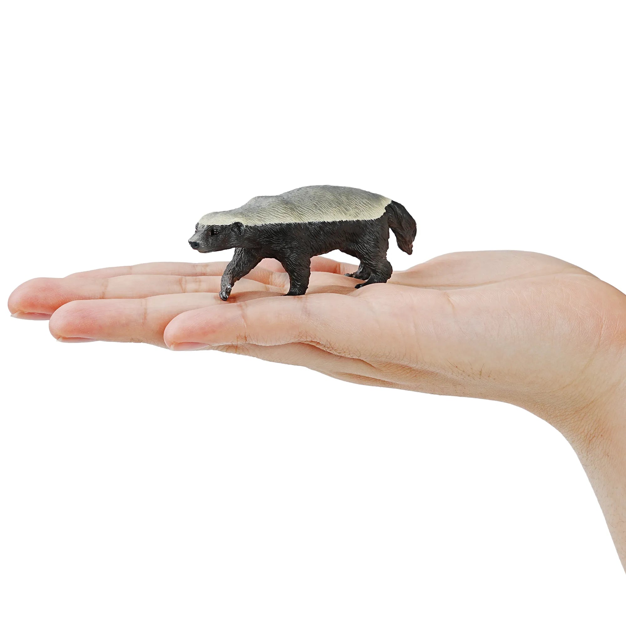 Toymany Honey Badger Figurine Toy-on hand