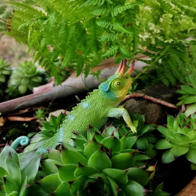 Toymany Jackson's Chameleon Figurine Toy