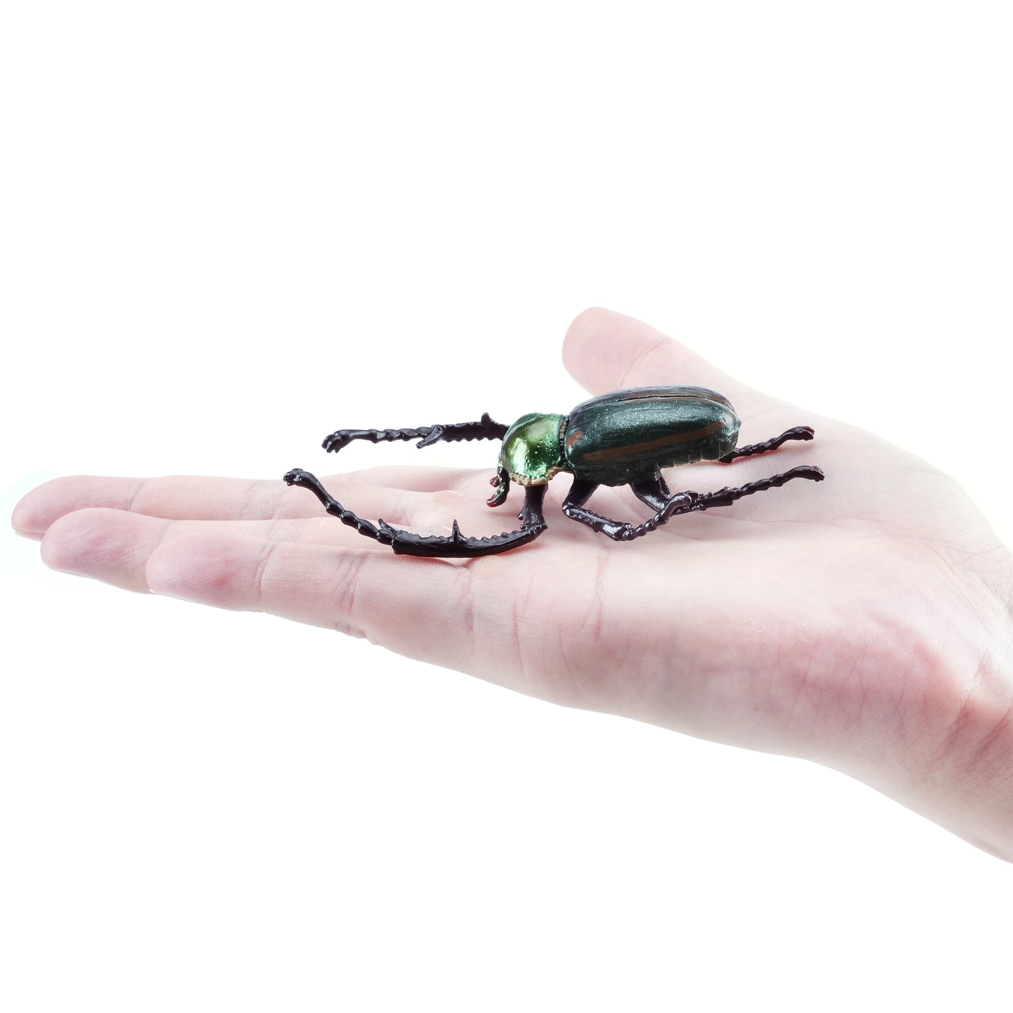 Toymany_Janson_s_Long-armed_Scarab_Beetle_Figurine_Toy-on_hand