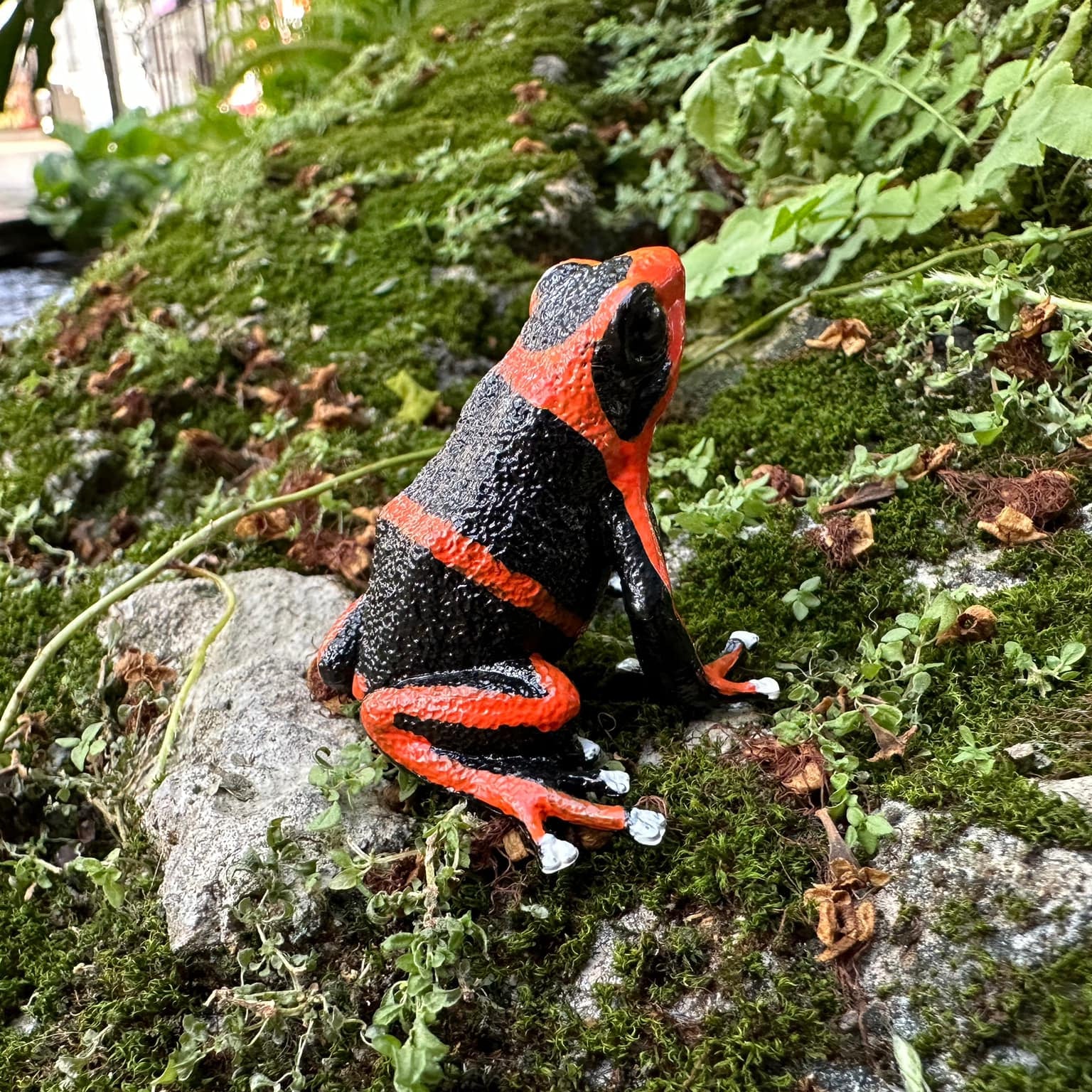 لعبة تمثال ضفدع ليهمان السام من Toymany