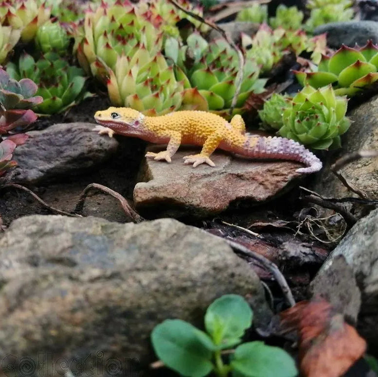 Toymany Leopard Gecko Figurine Toy