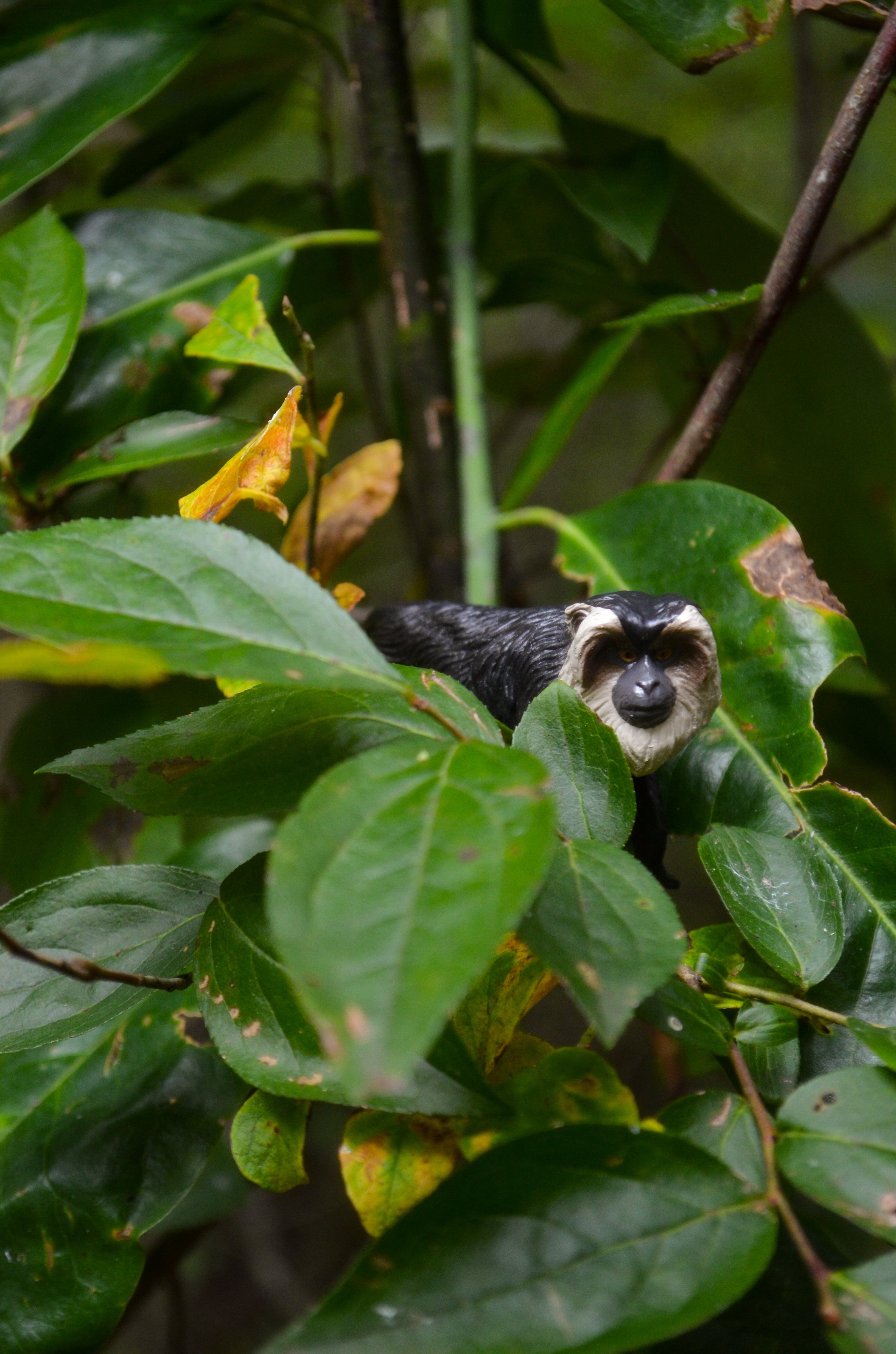 Jouet figurine de macaque à queue de lion Toymany