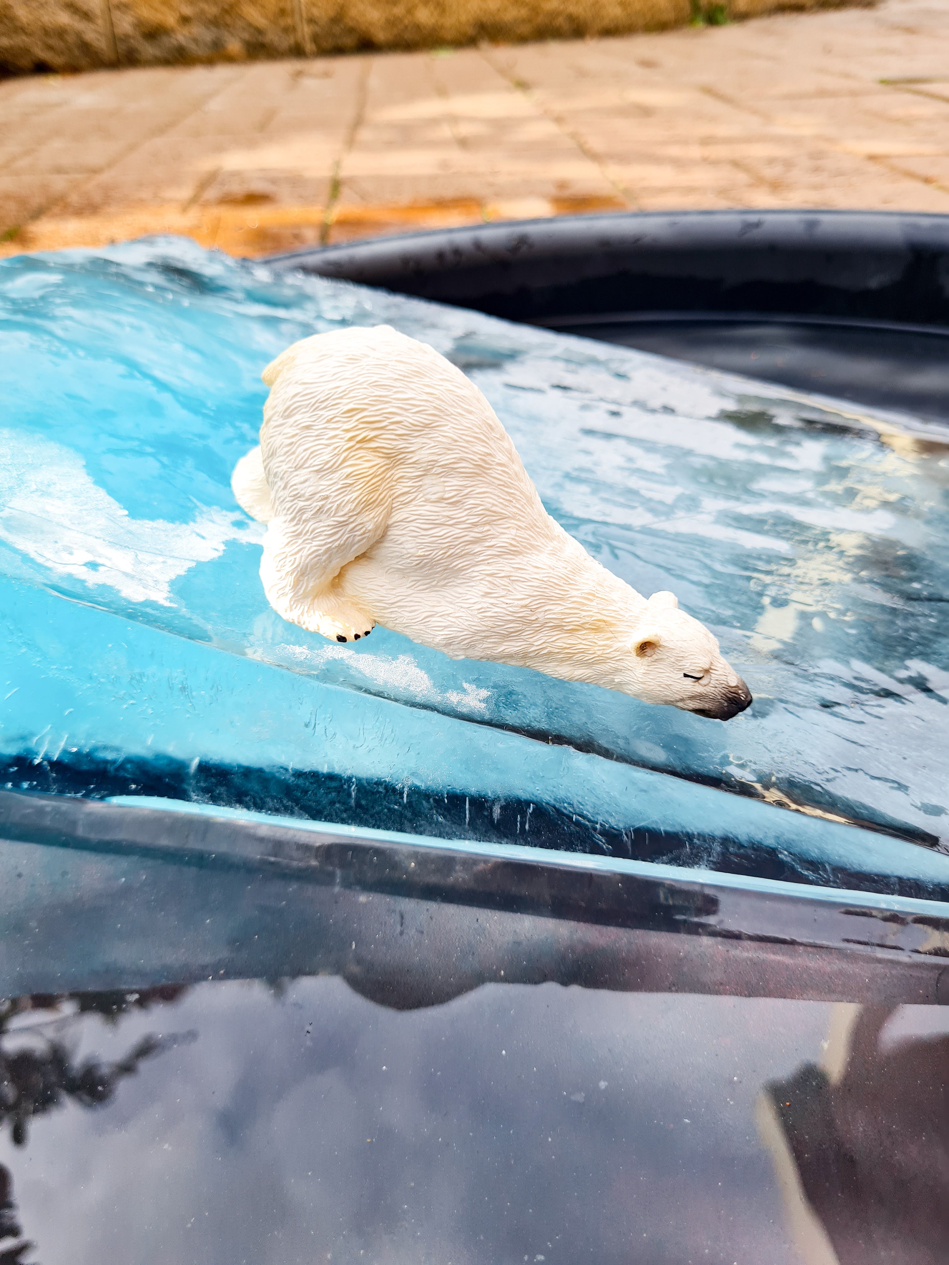 6-Piece Wild Bear Figurine Playset