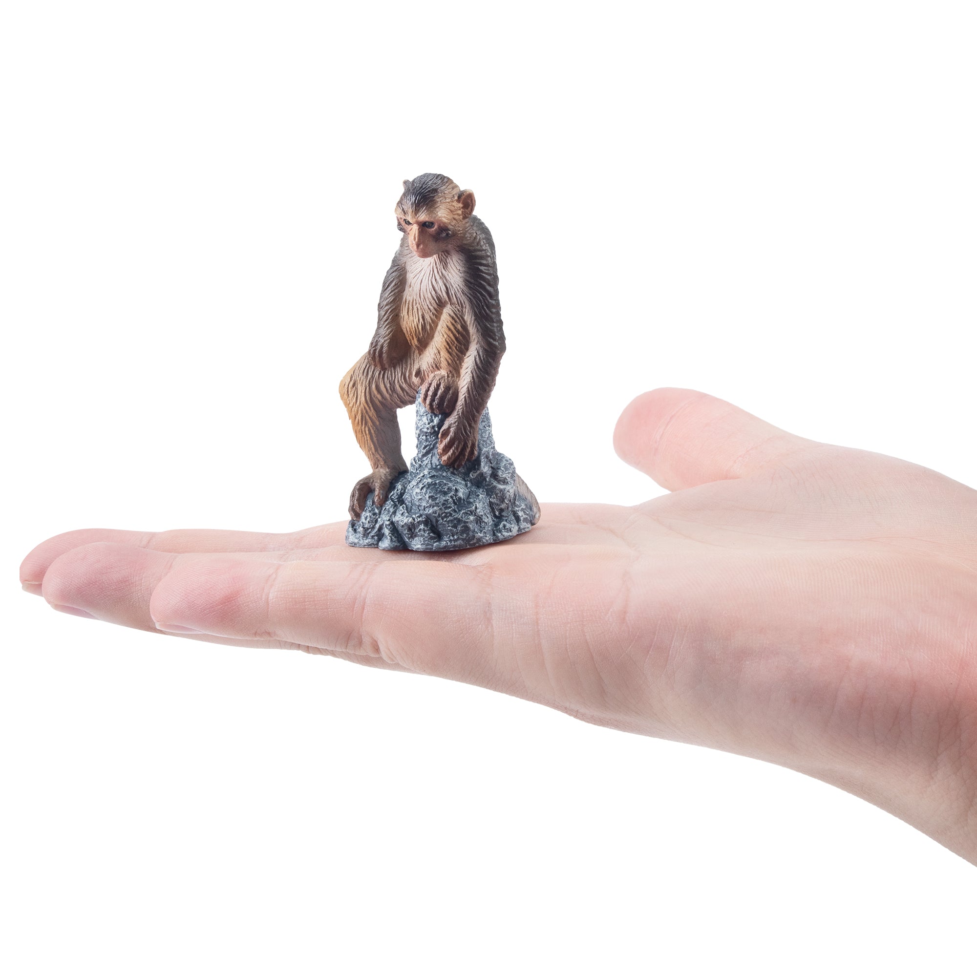 Toymany_Macaque_Figurine_Toy-4