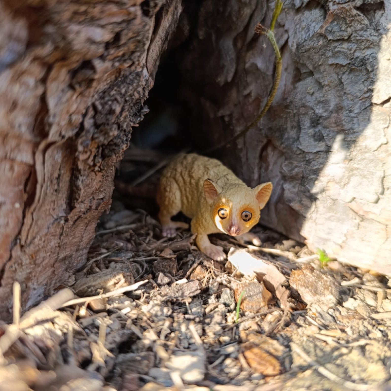 Toymany Madame Berthe's Mouse Lemur Figurine Toy