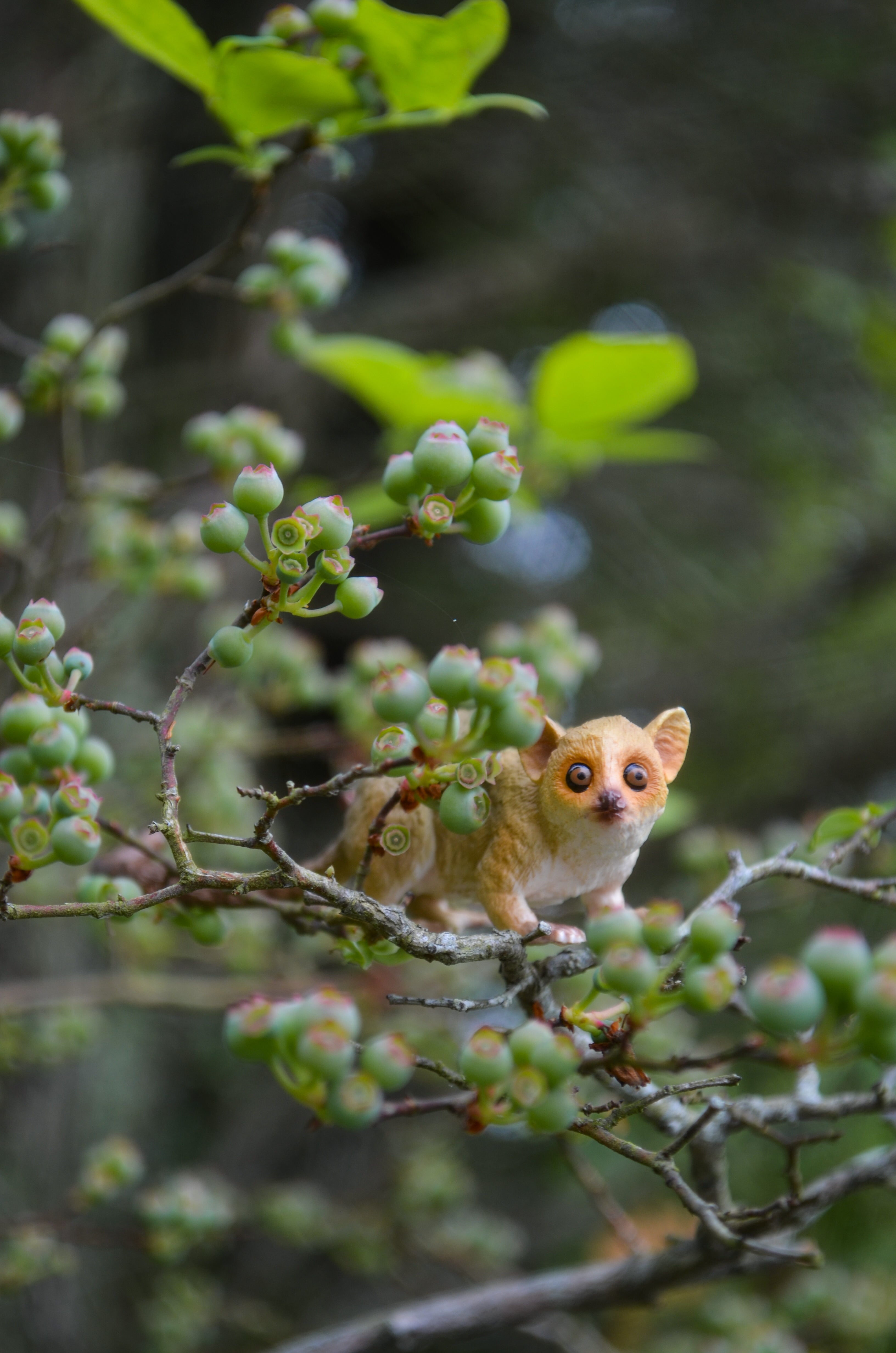 Jouet figurine de microcèbe de Madame Berthe Toymany