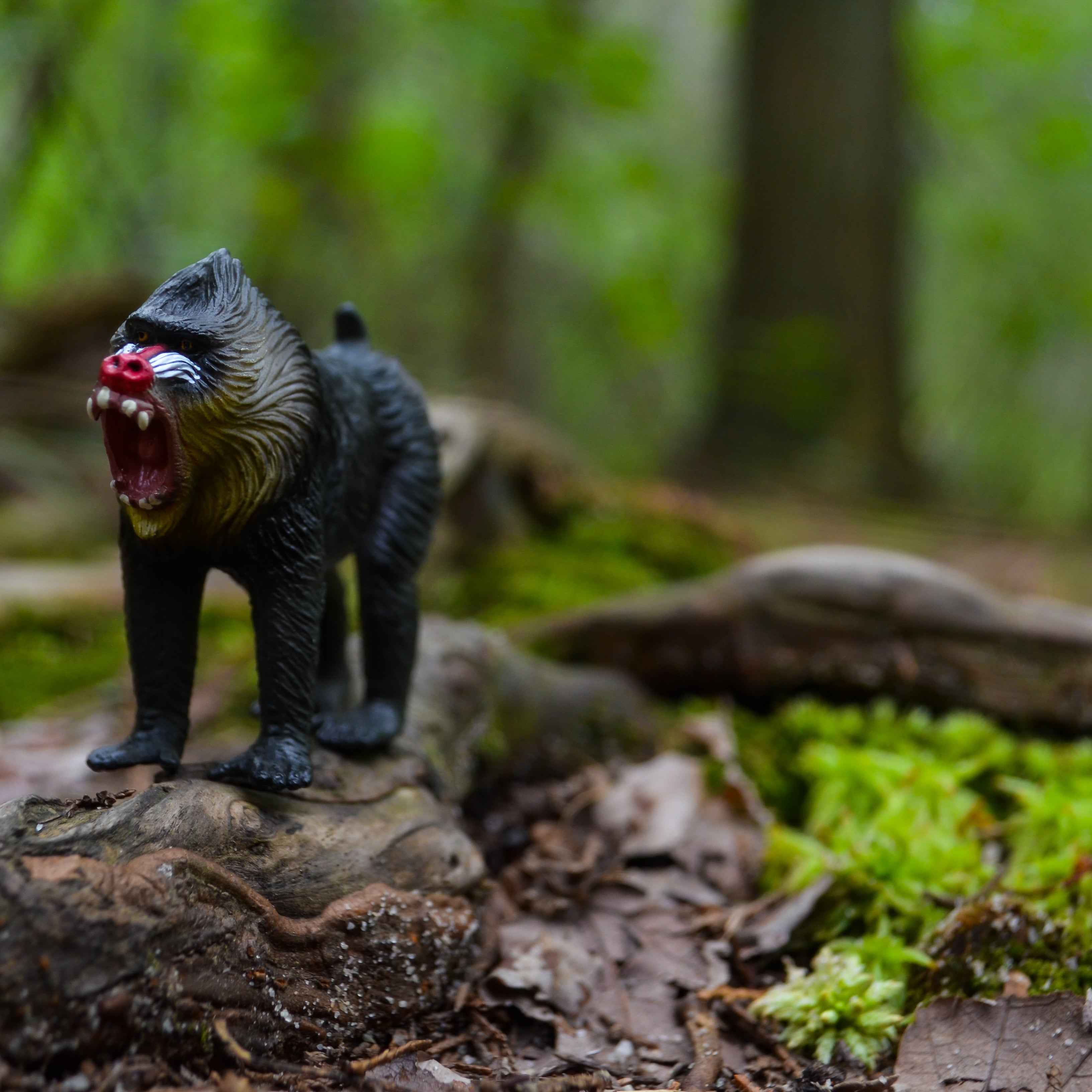 Toymany Mandrill | Realistic Animal Figurine Toy