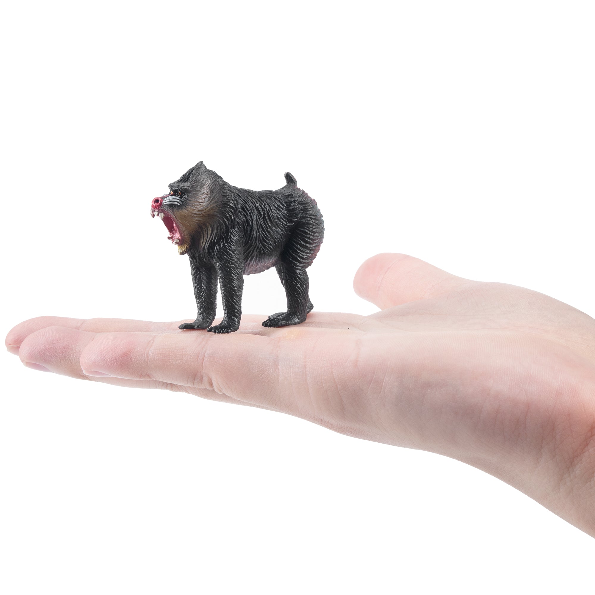 Toymany_Mandrill_Figurine_Toy-on_hand