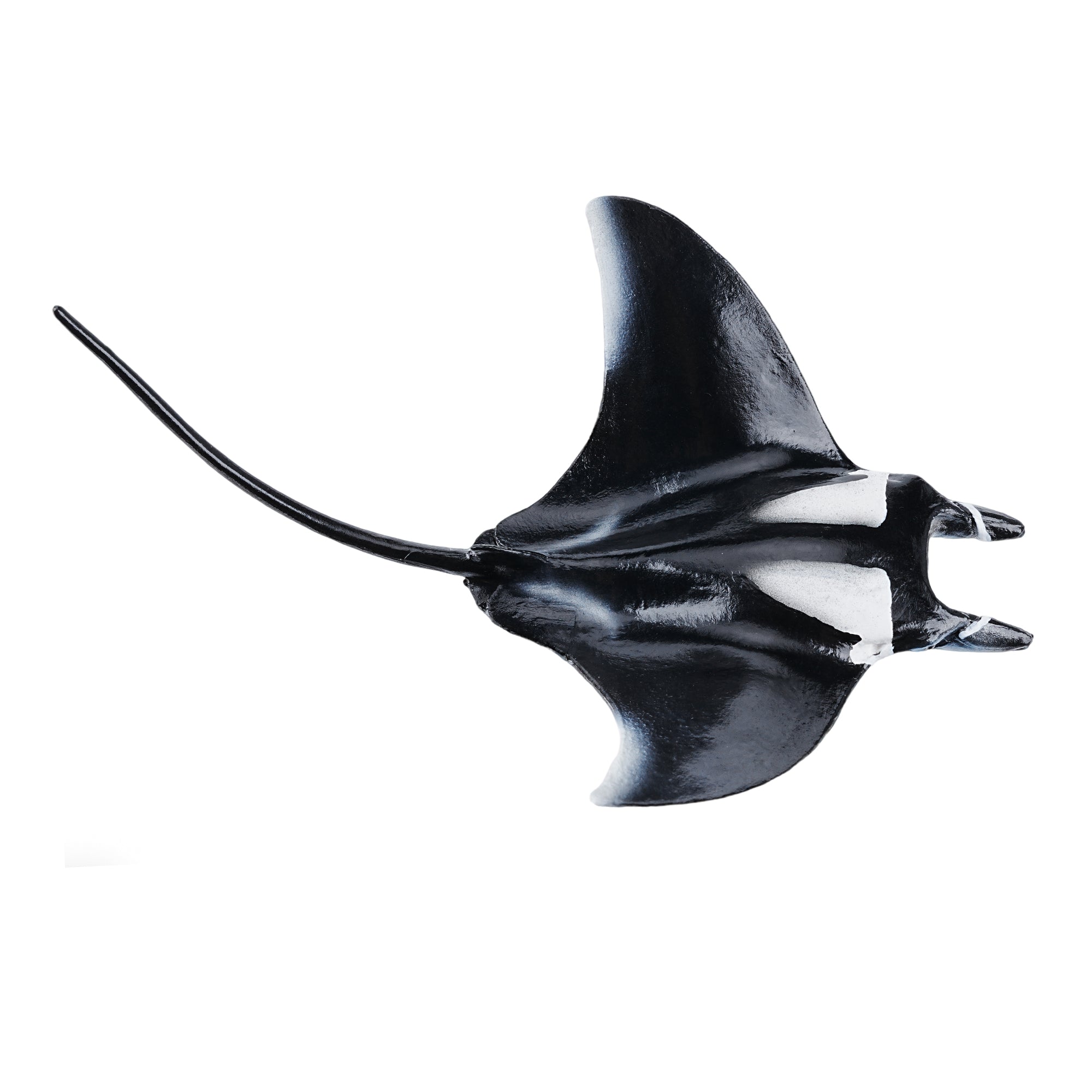Toymany_Manta_Ray_Figurine_Toy_Small_Size-4