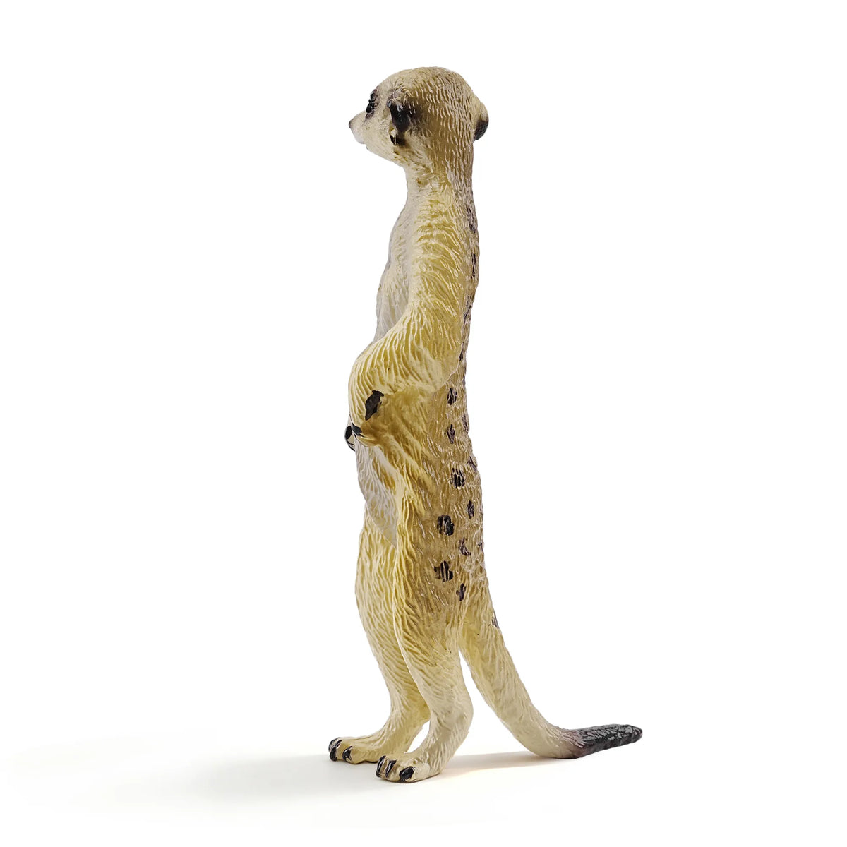 Toymany Meerkat Figurine Toy-2