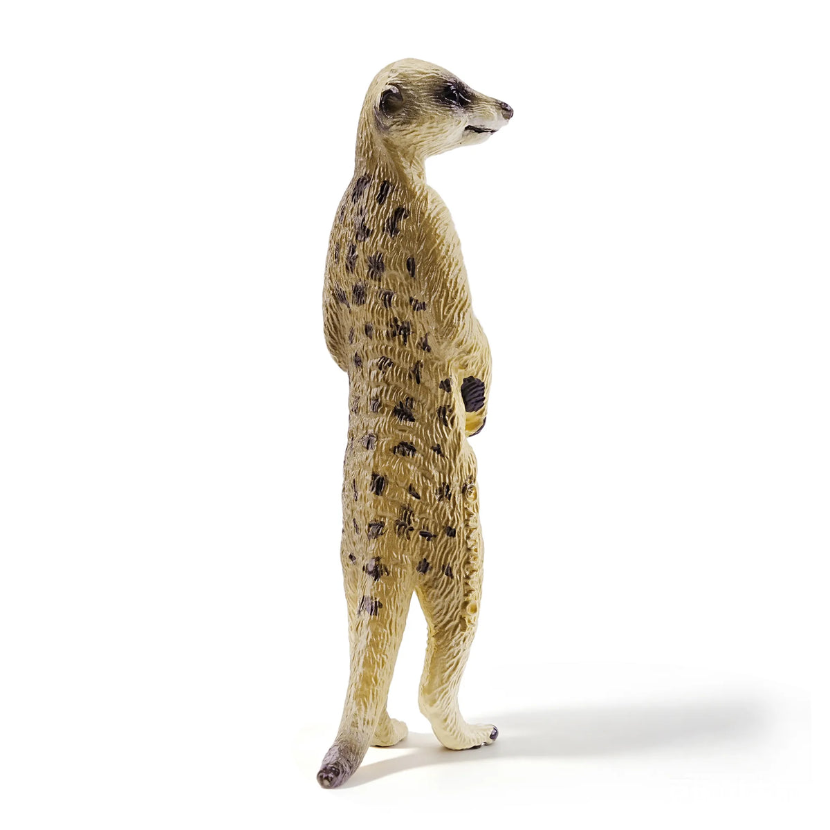 Toymany Meerkat Figurine Toy-back