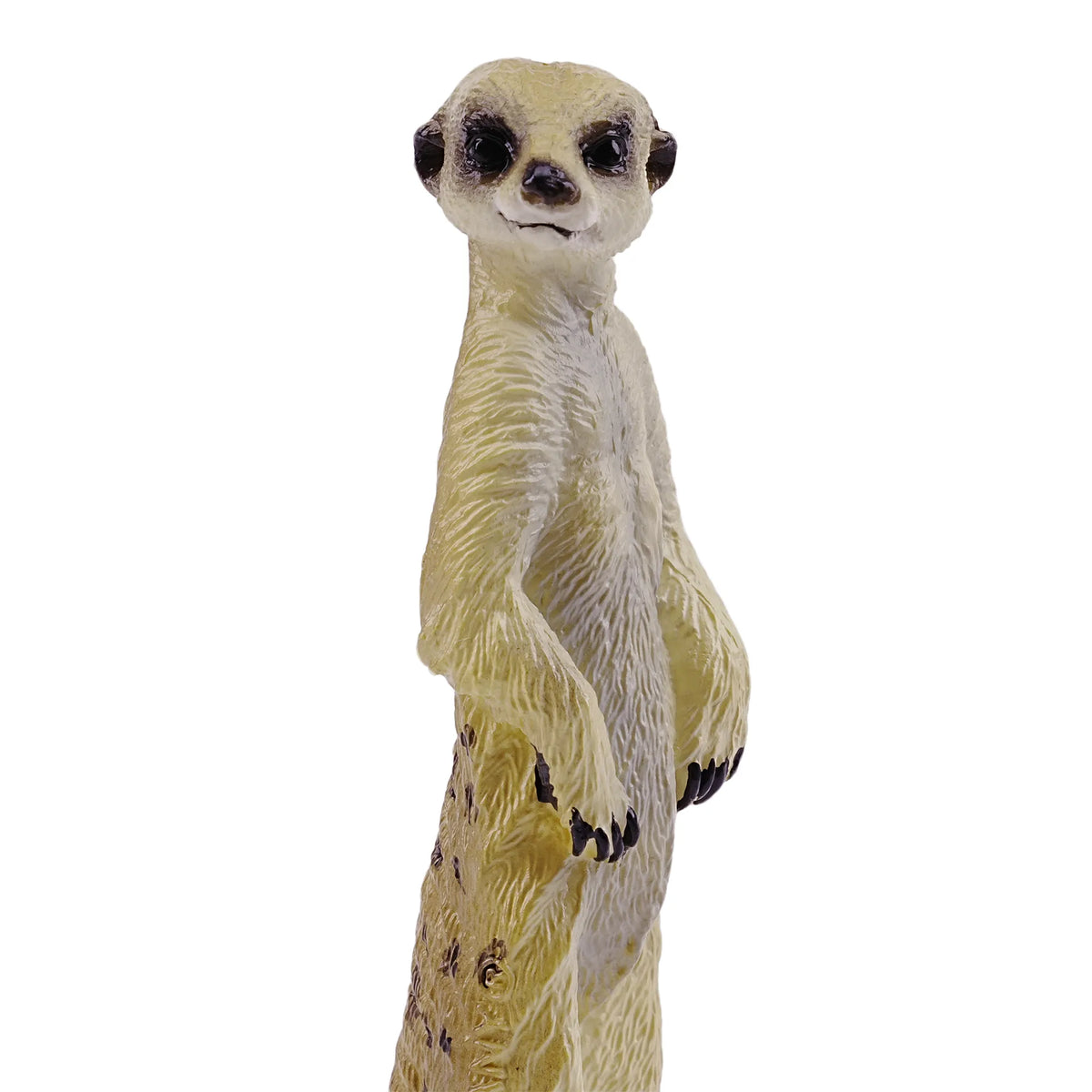 Toymany Meerkat Figurine Toy-detail