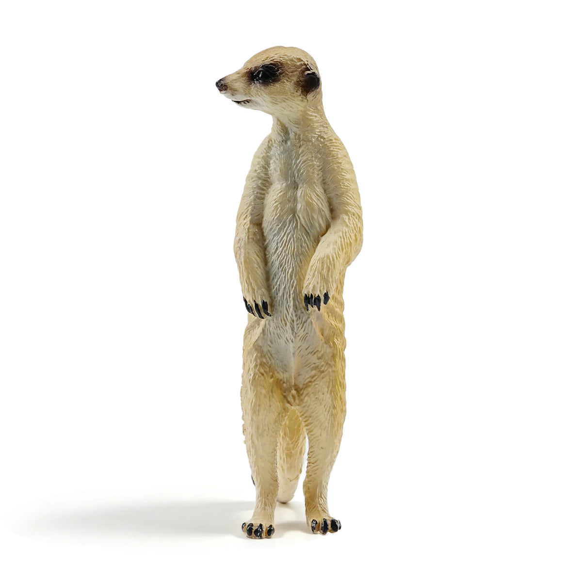 Toymany Meerkat Figurine Toy-front