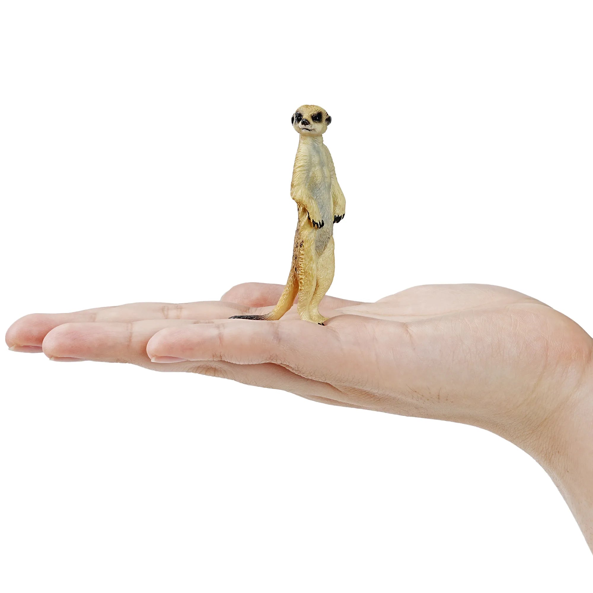 Toymany Meerkat Figurine Toy-on hand