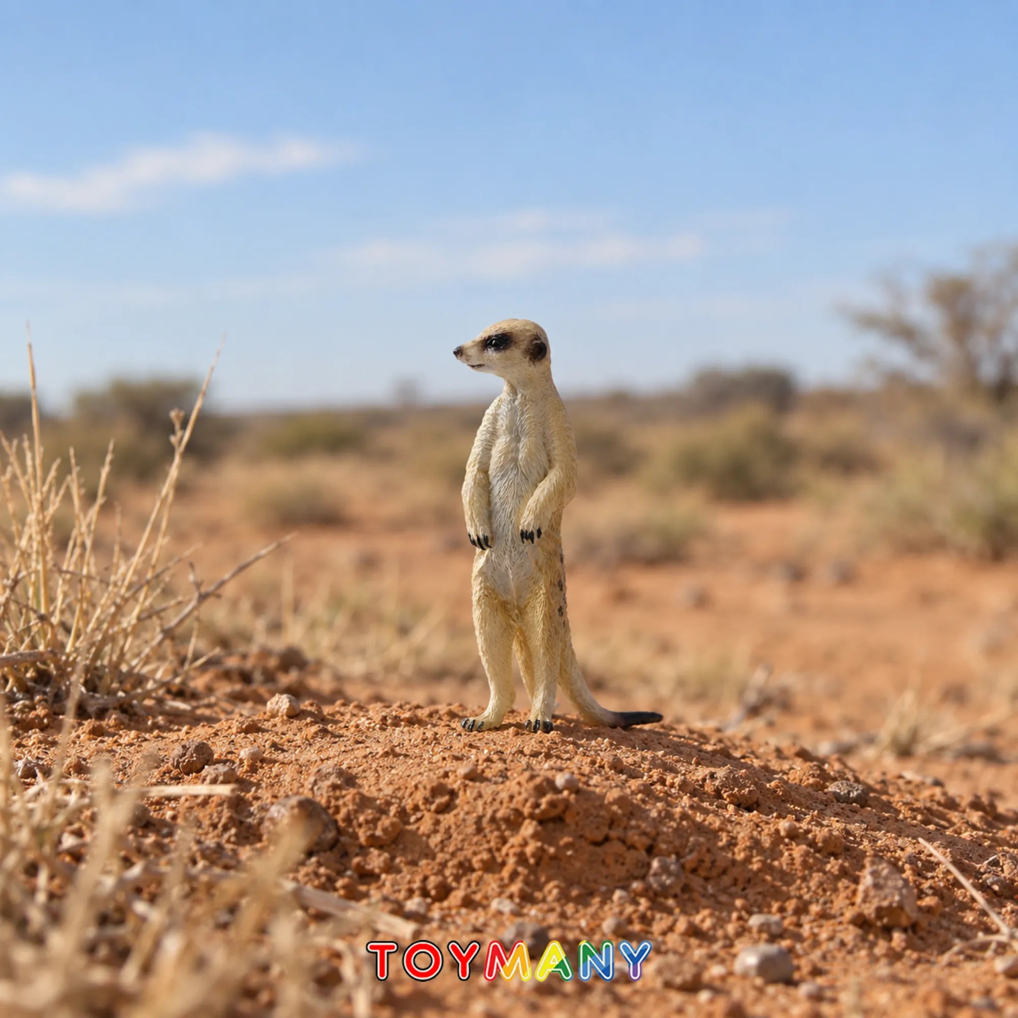 Toymany Meerkat Figurine Toy-scene
