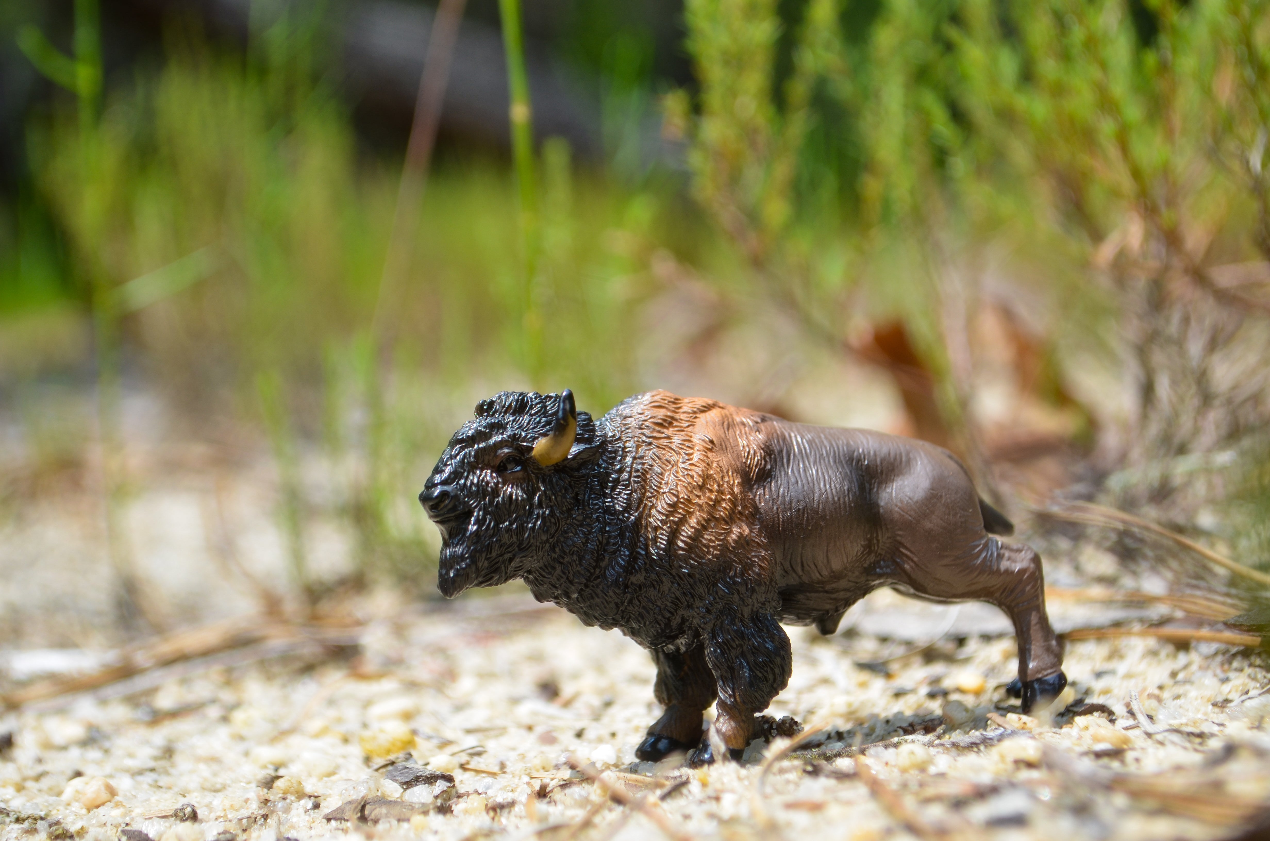 Toymany Mini American Bison Figurine Toy - Small Size