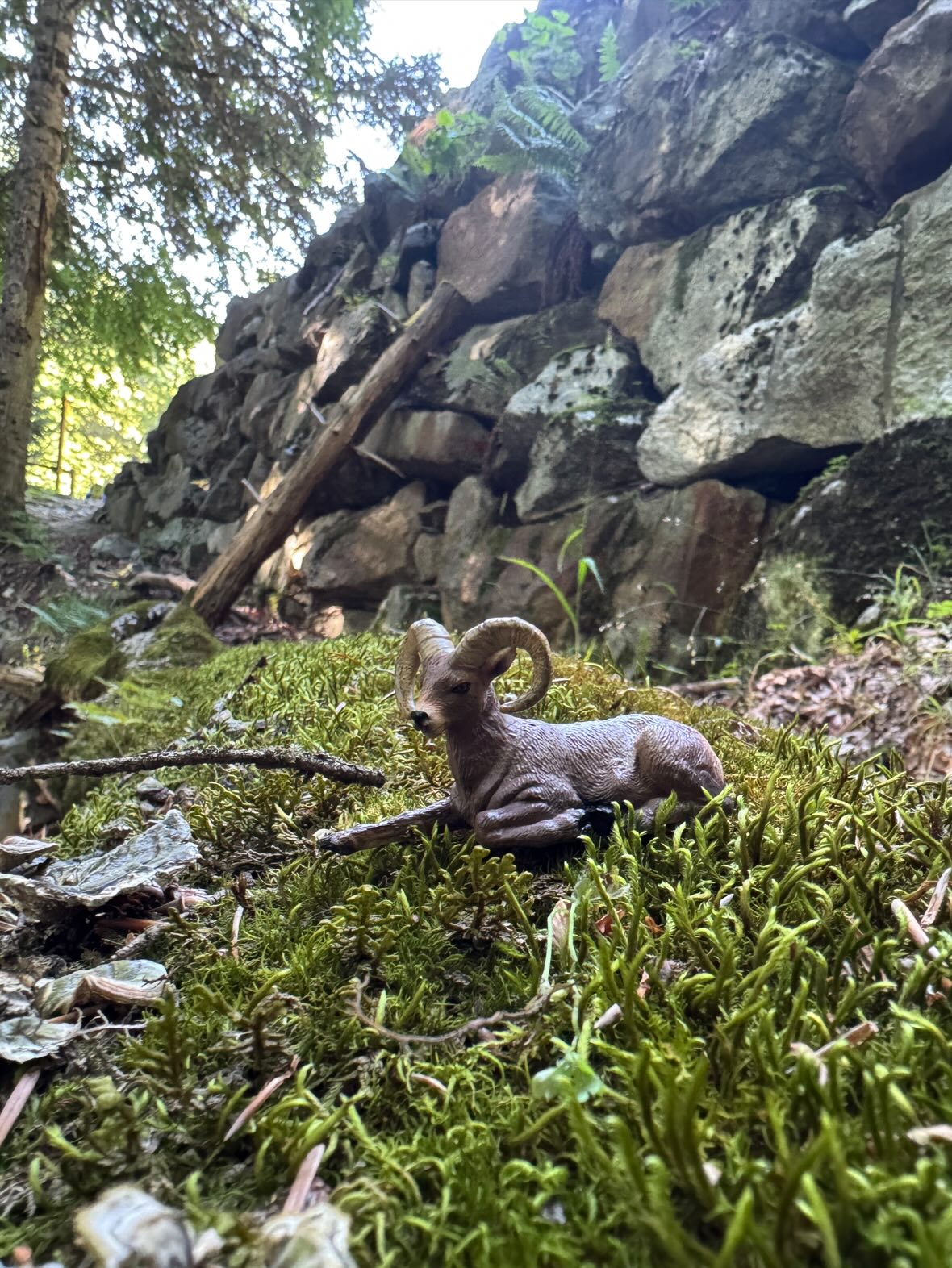 Toymany Mini Bighorn Sheep Figurine Toy - Small Size