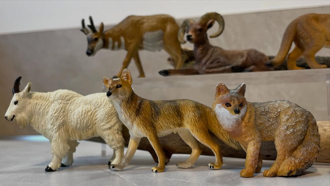 Toymany Mini Coyote Figurine Toy - Small Size