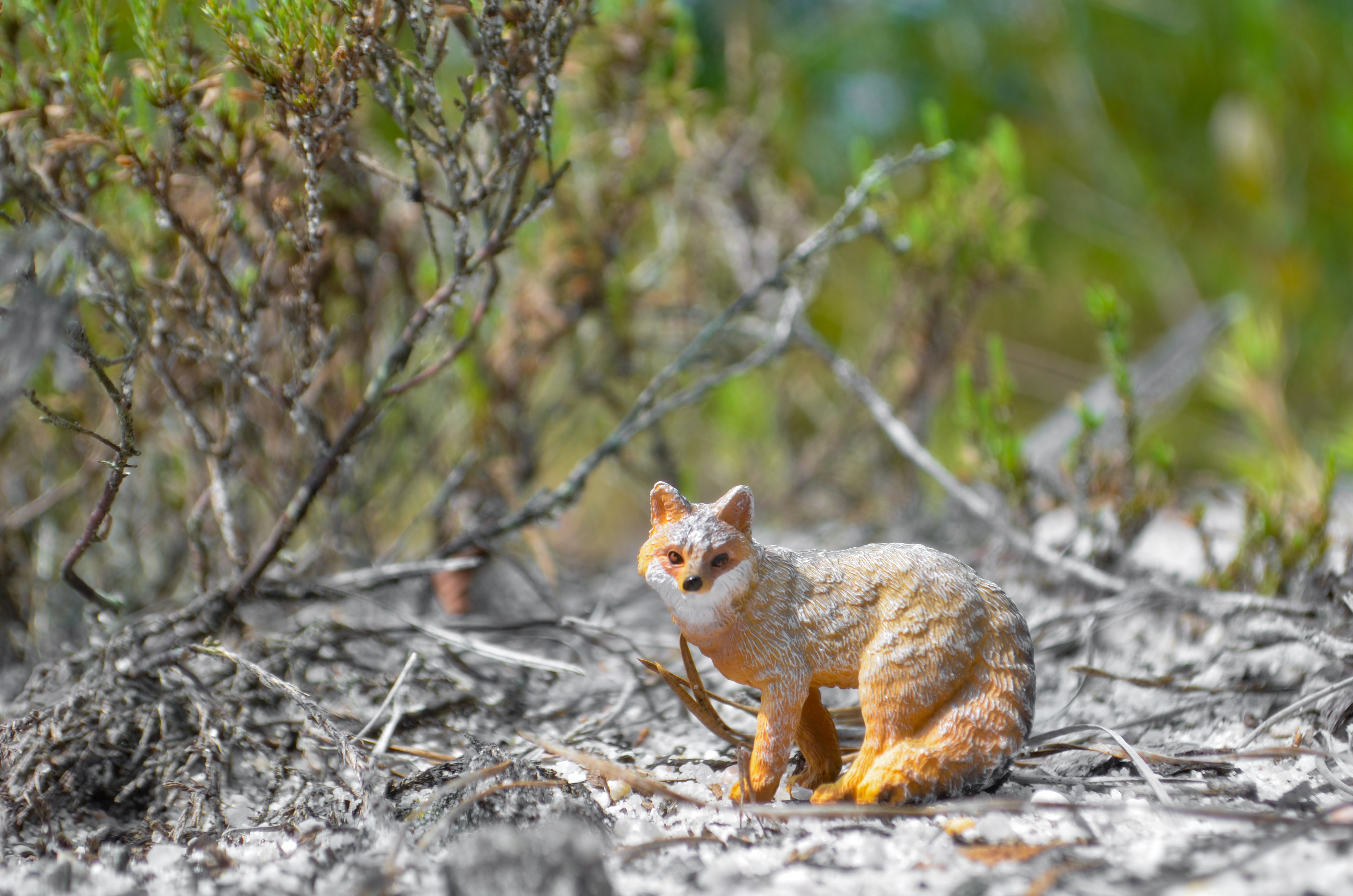 Toymany Mini Grey Fox Figurine Toy - Small Size