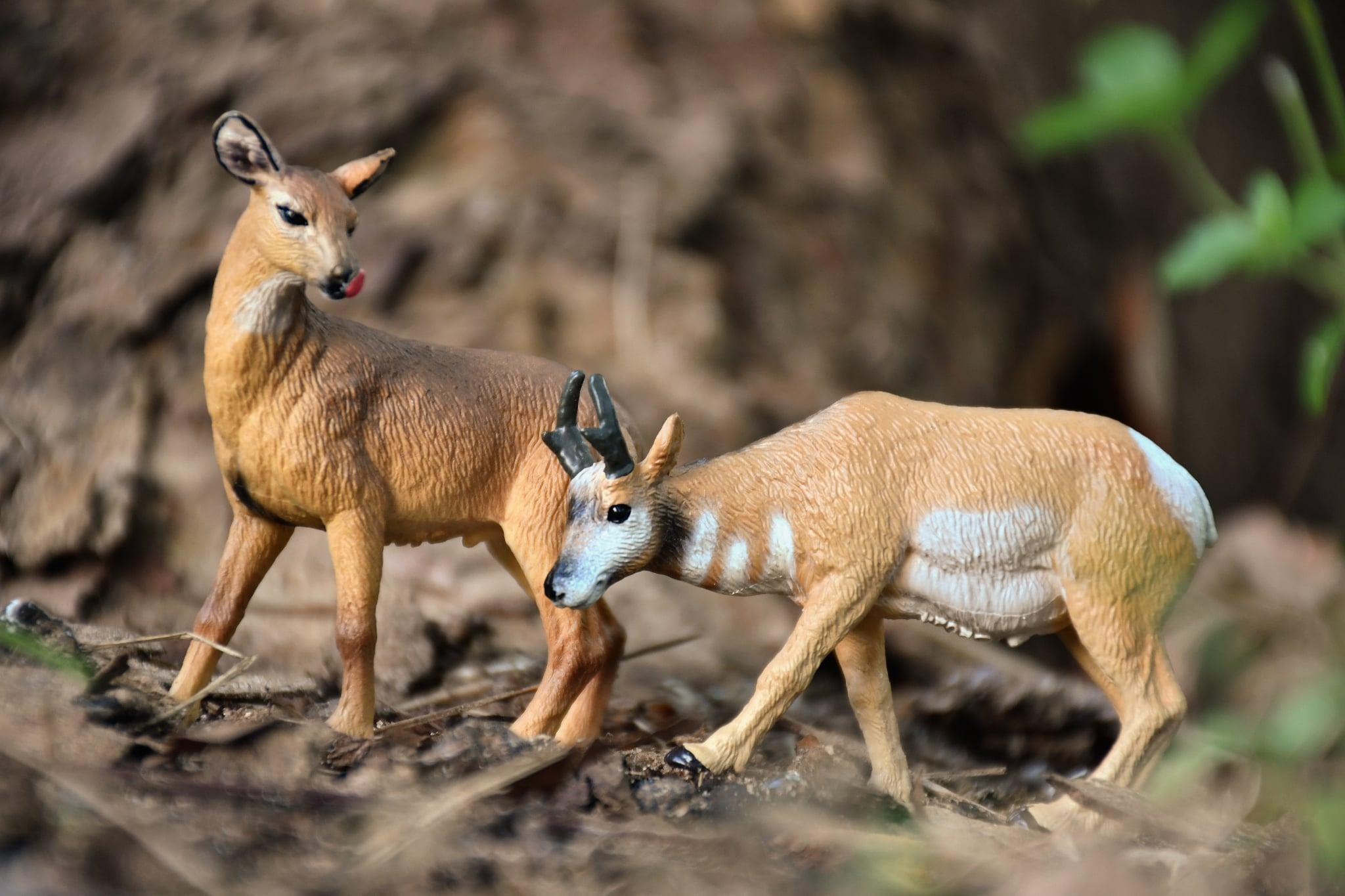 Juguete figura de berrendo Toymany