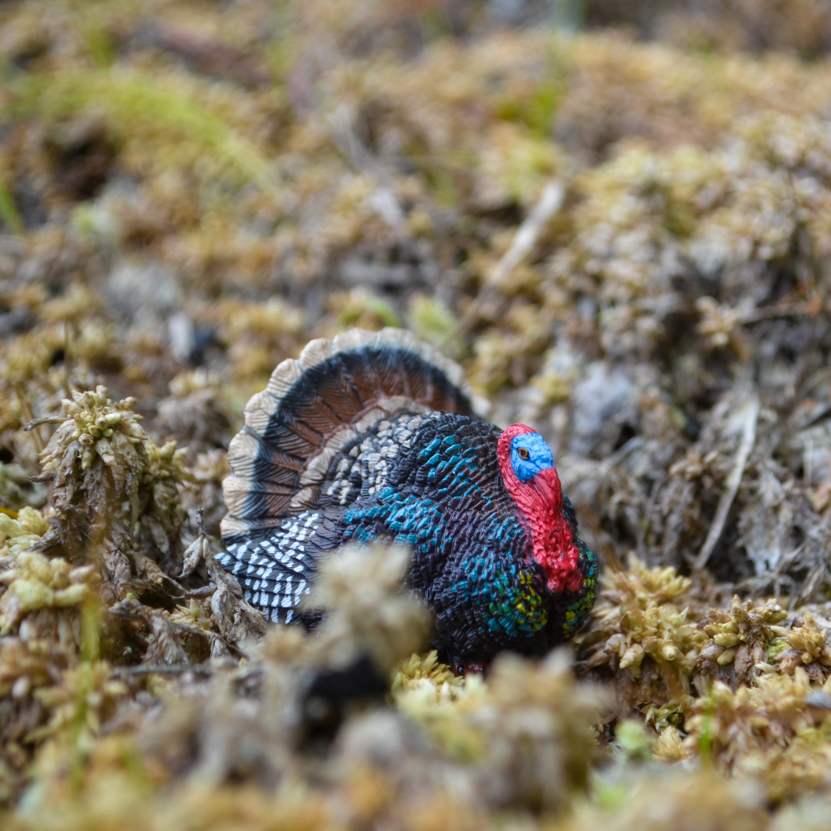 لعبة مجسّم ديك رومي من Toymany