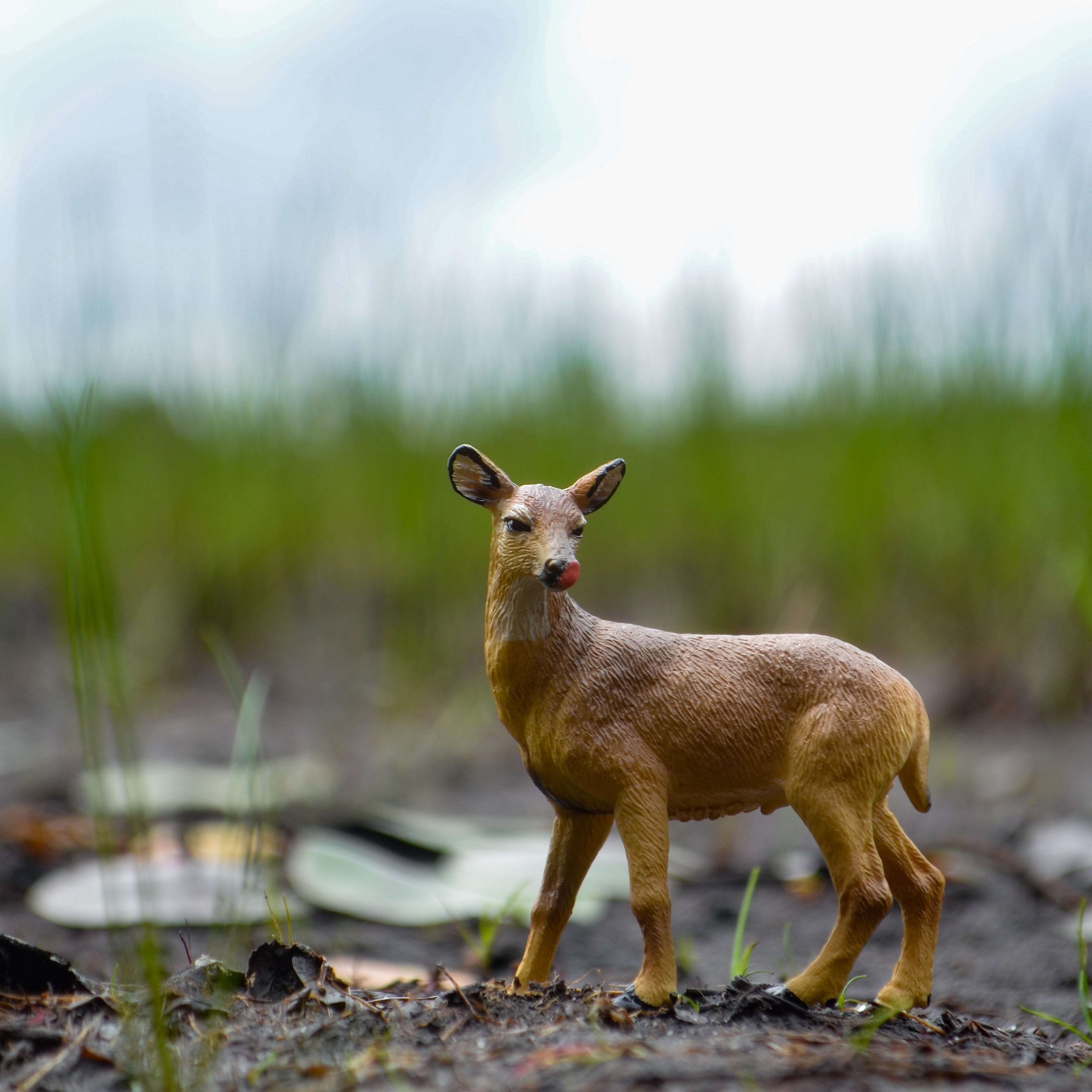 Juguete figura de venado de cola blanca Toymany