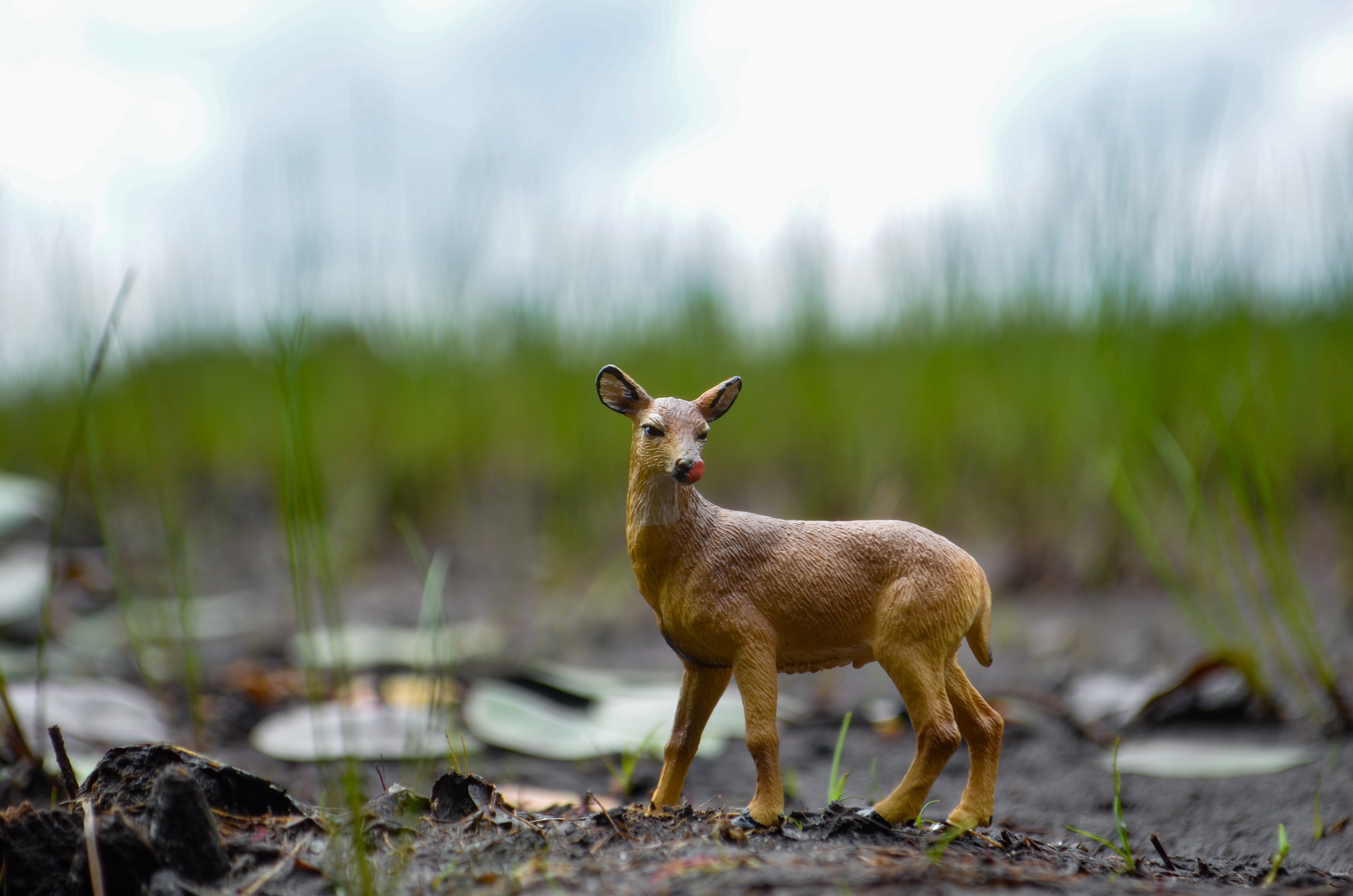 Toymany Mini White-tailed Deer Figurine Toy - Small Size