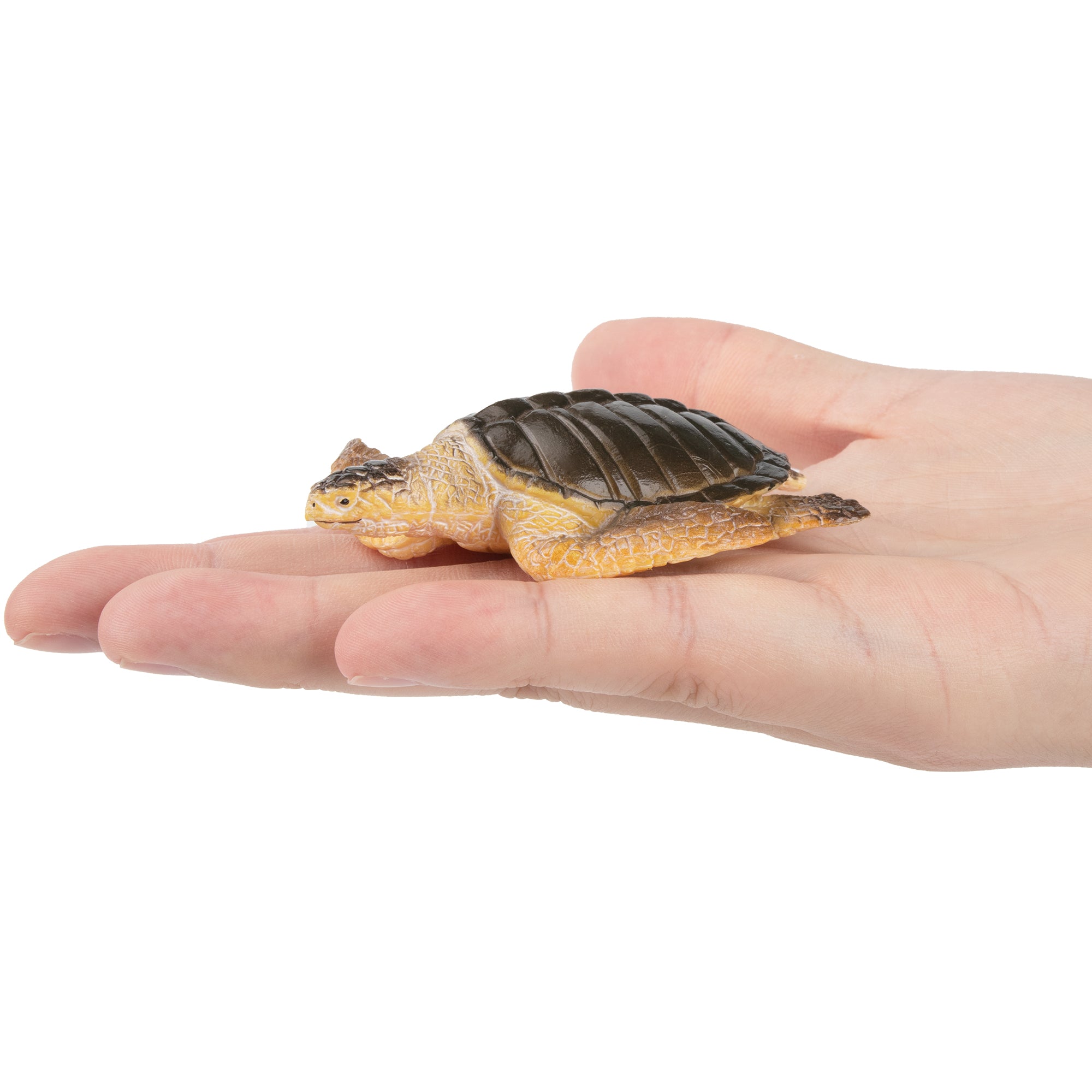 Toymany Olive Ridley Sea Turtle Figurine Toy-on hand