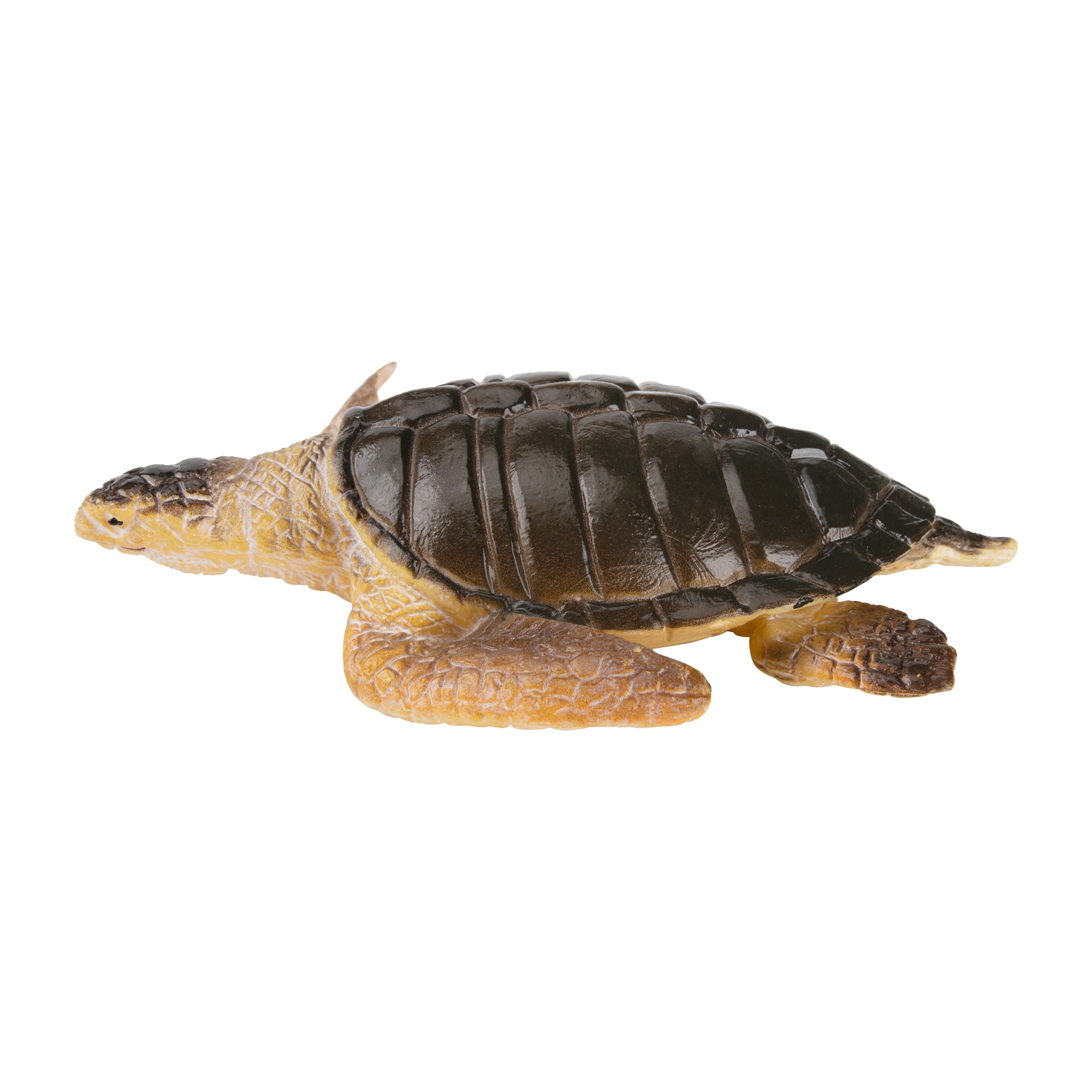 Toymany Olive Ridley Sea Turtle Figurine Toy