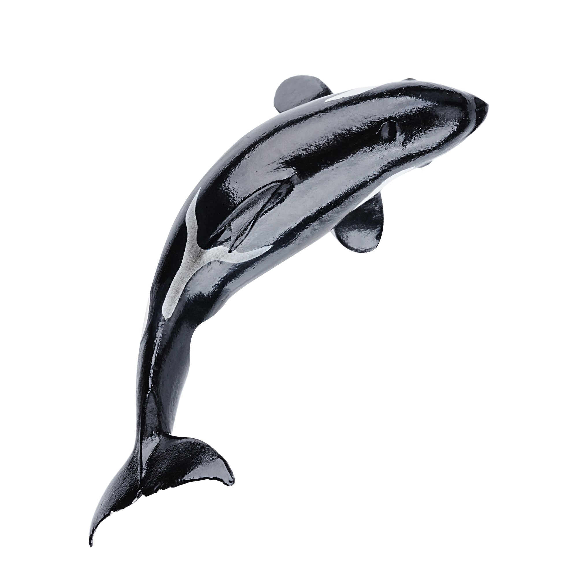 Toymany Orca Calf | Realistic Animal Figurine Toy