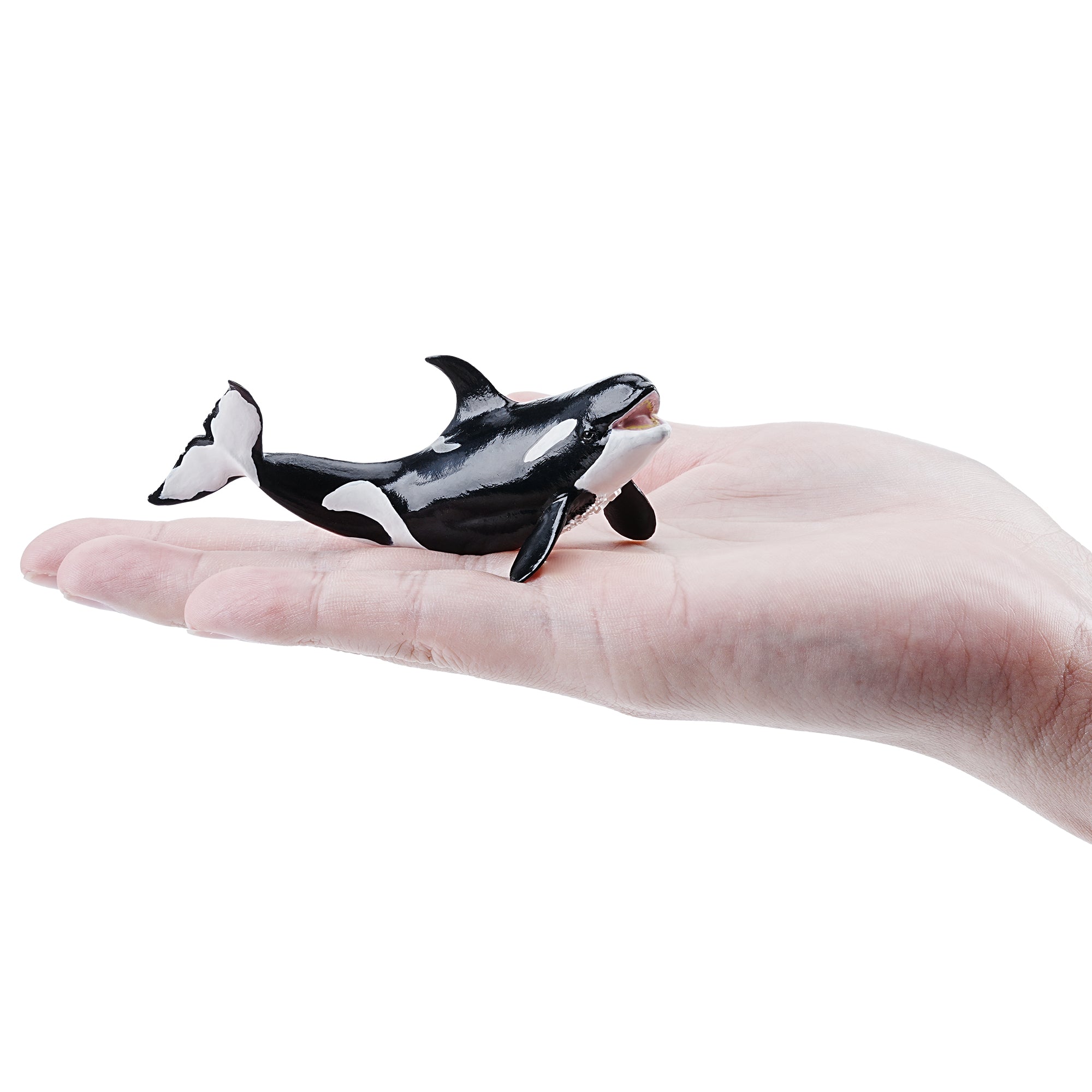 Toymany_Orca_Calf_Figurine_Toy_Small_Size-on_hand