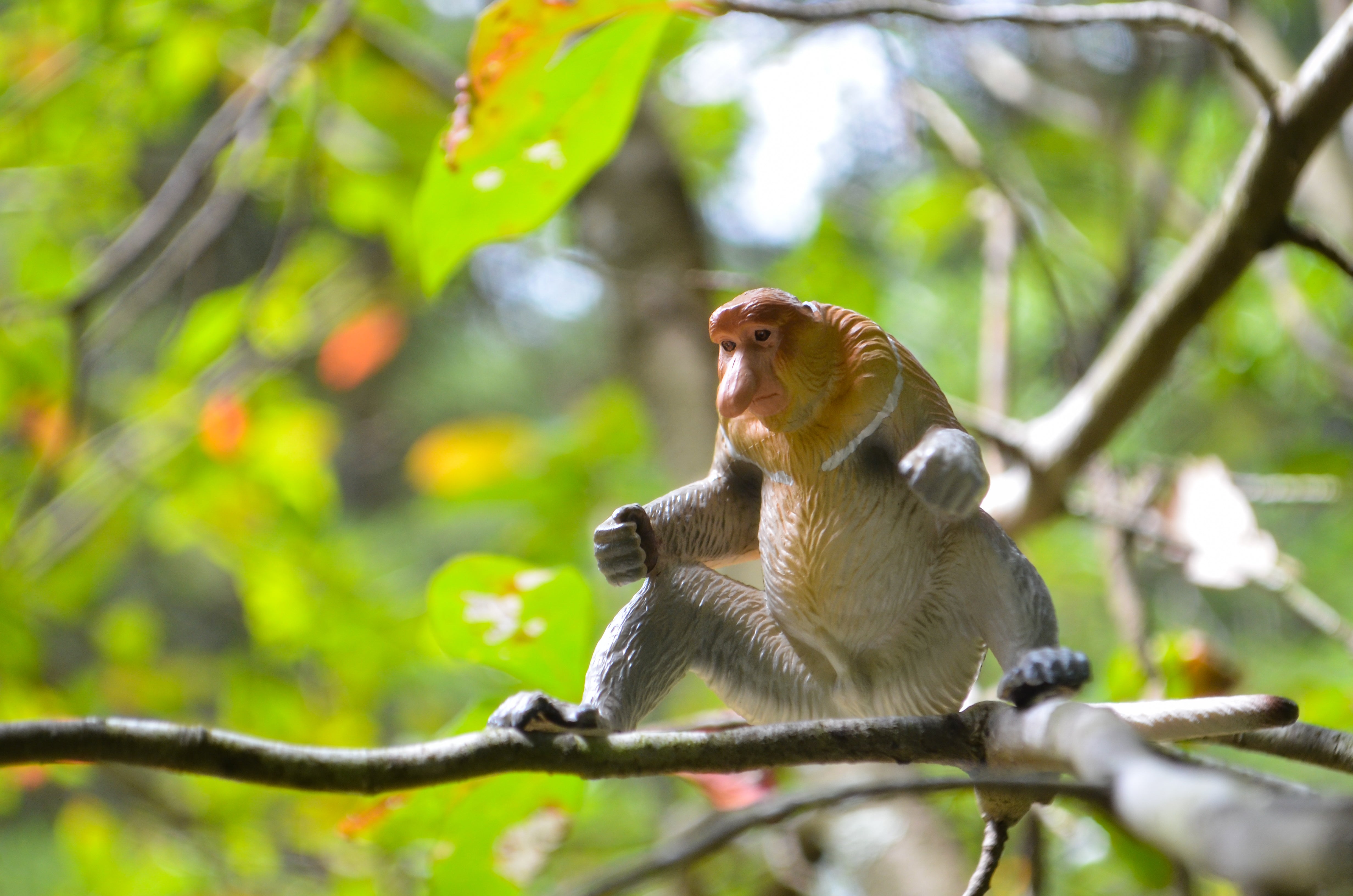 Jouet figurine de nasique Toymany