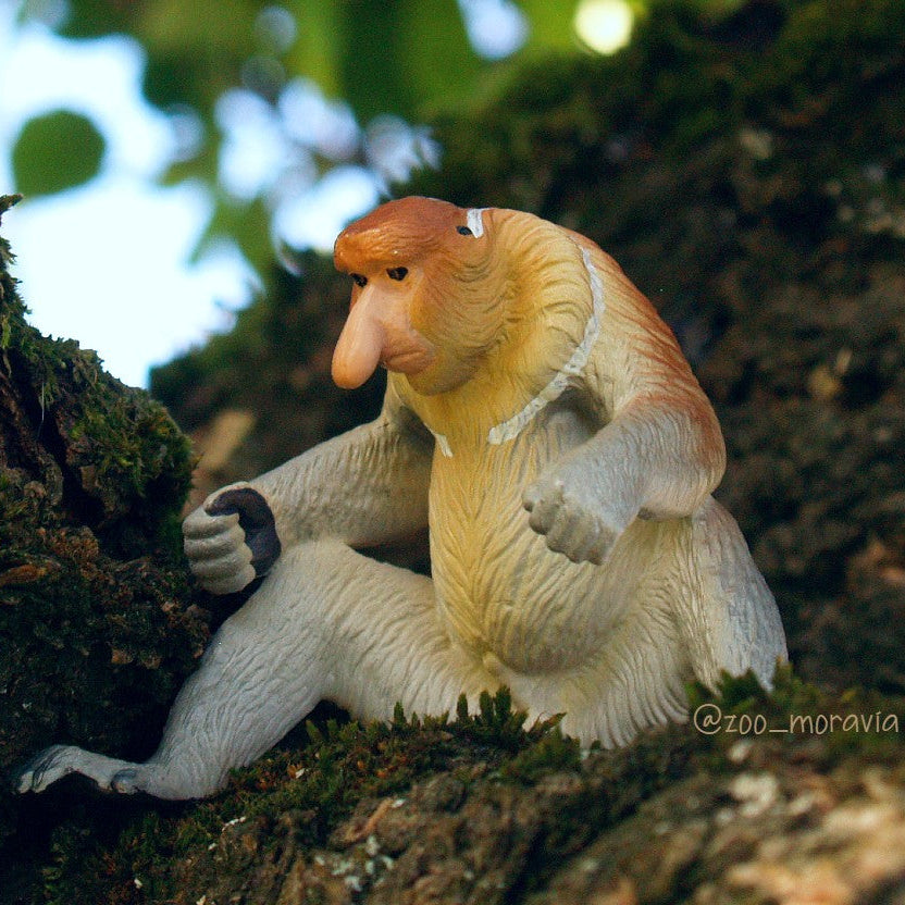 Toymany Proboscis Monkey | Realistic Animal Figurine Toy