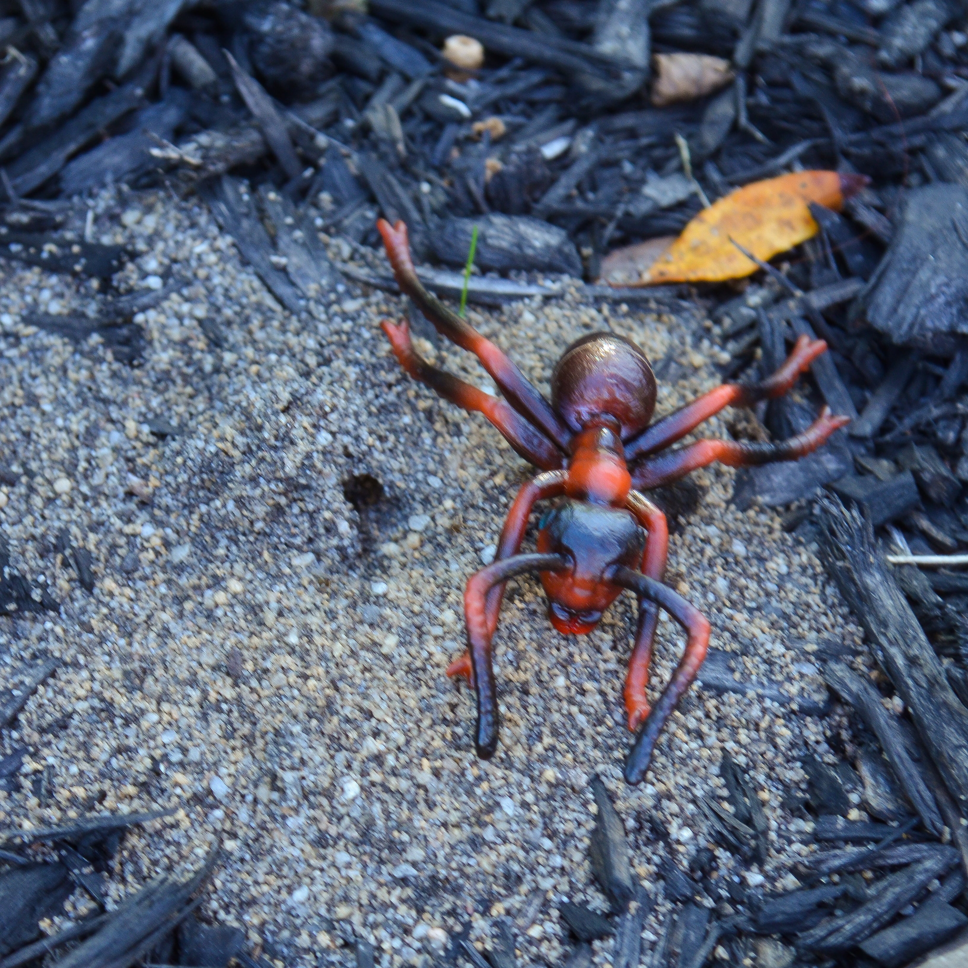 Toymany Red Imported Fire Ant Figurine Toy