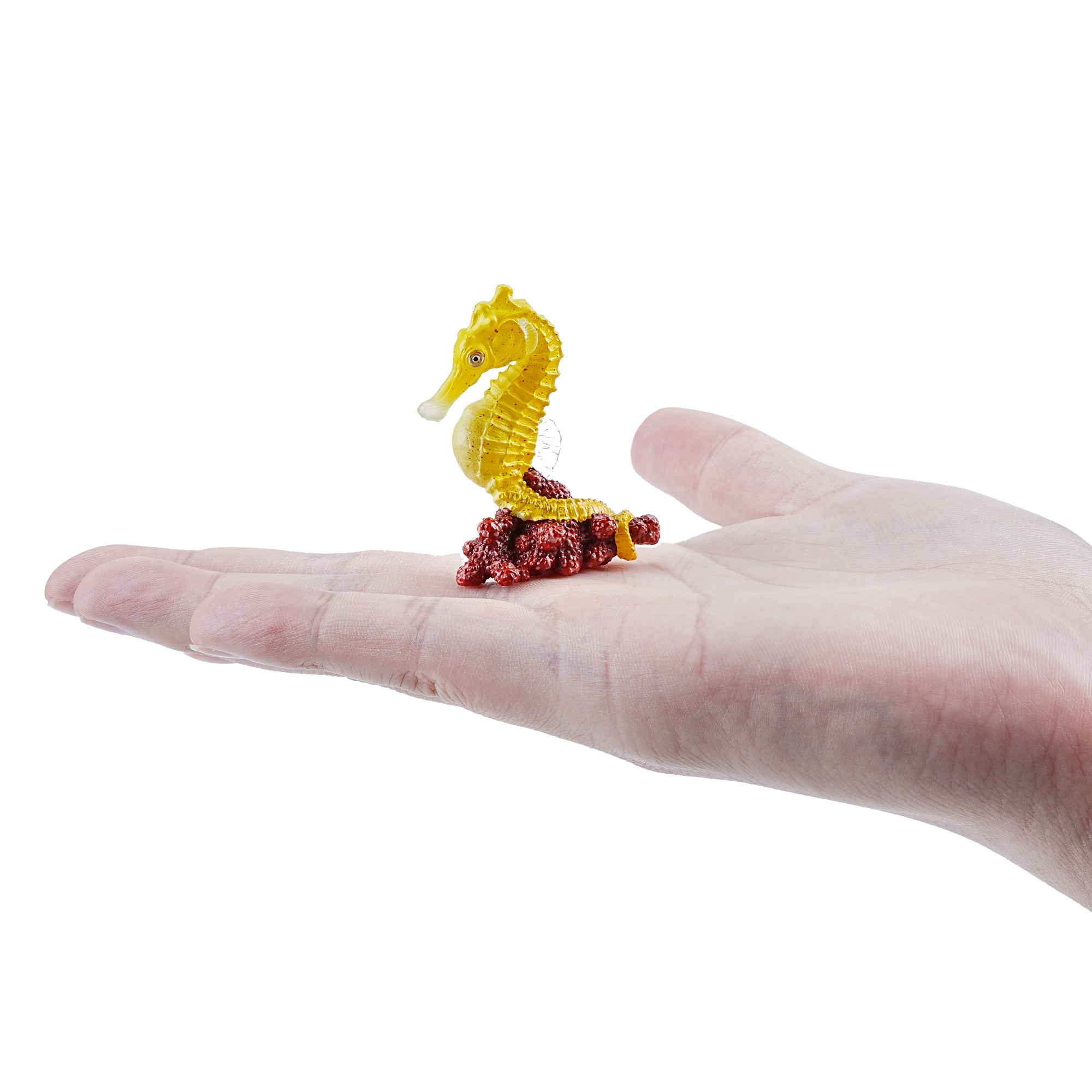 Toymany_Seahorse_Figurine_Toy_Small_Size-on_hand