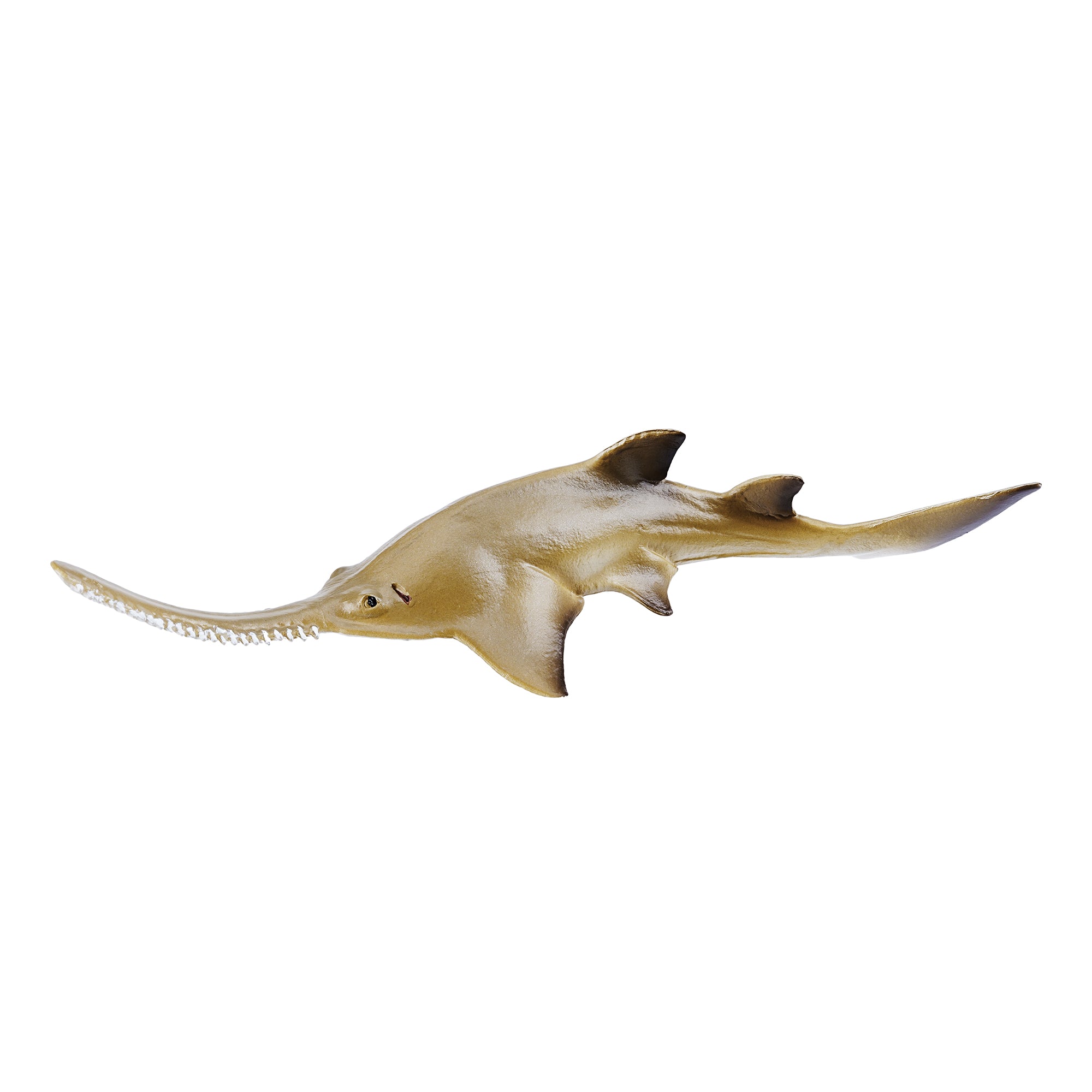 Toymany_Smalltooth_Sawfish_Pup_Figurine_Toy_Small_Size-1