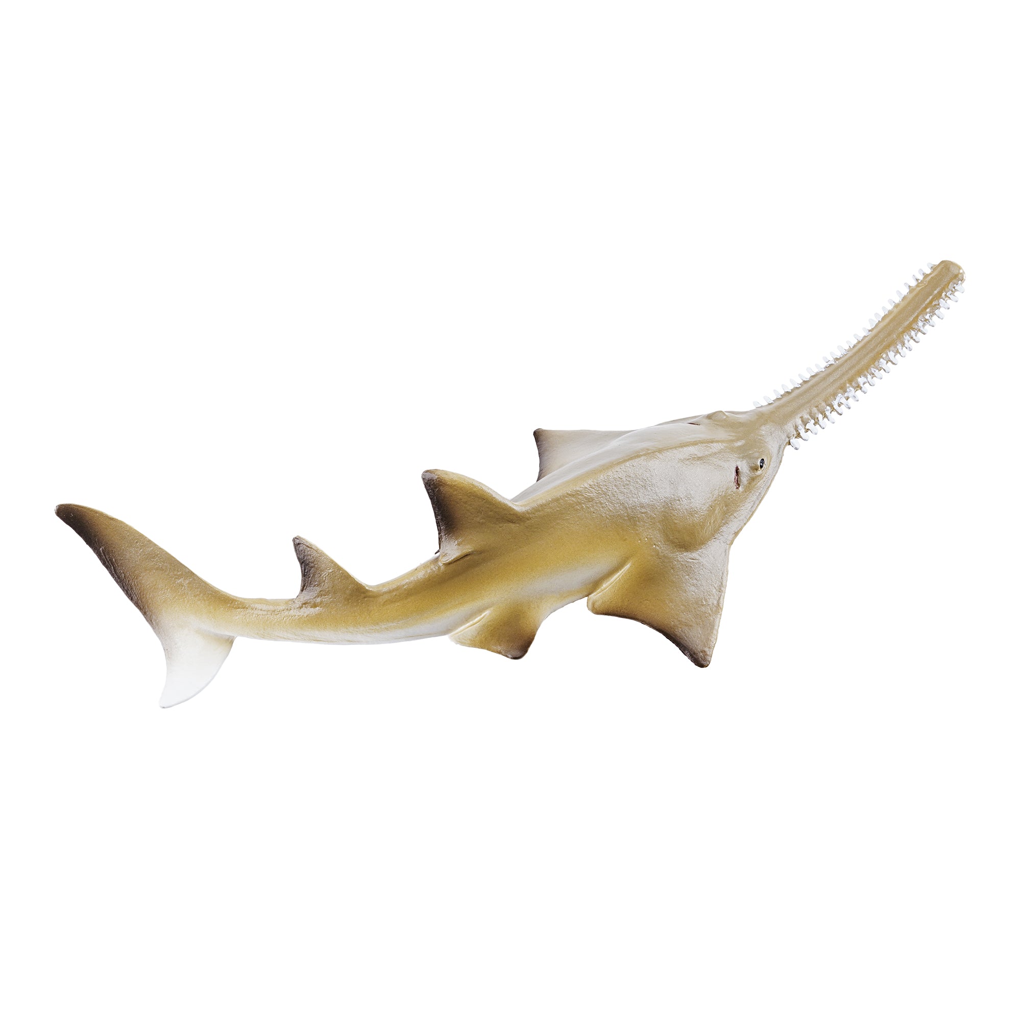 Toymany_Smalltooth_Sawfish_Pup_Figurine_Toy_Small_Size-3