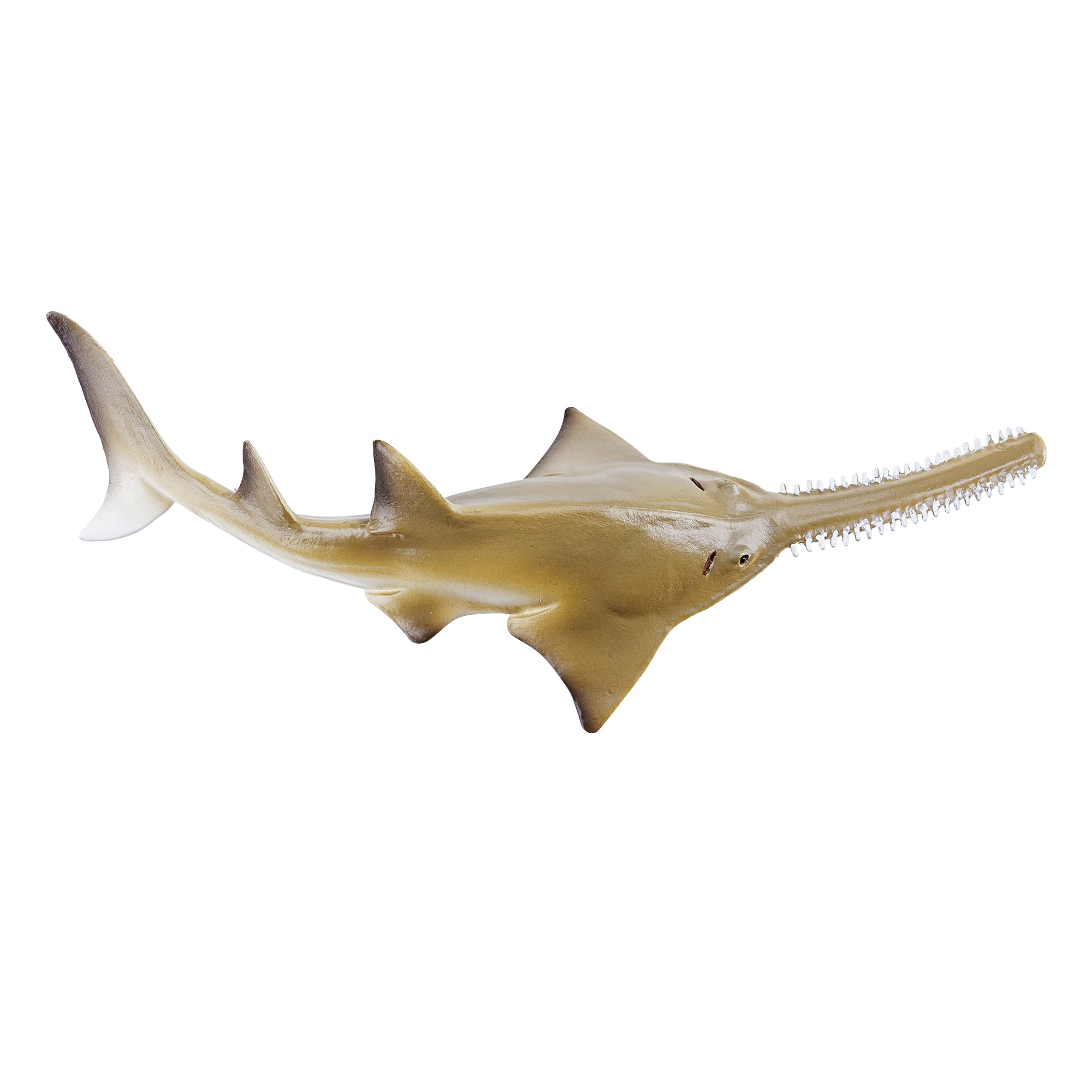 Toymany_Smalltooth_Sawfish_Pup_Figurine_Toy_Small_Size-4