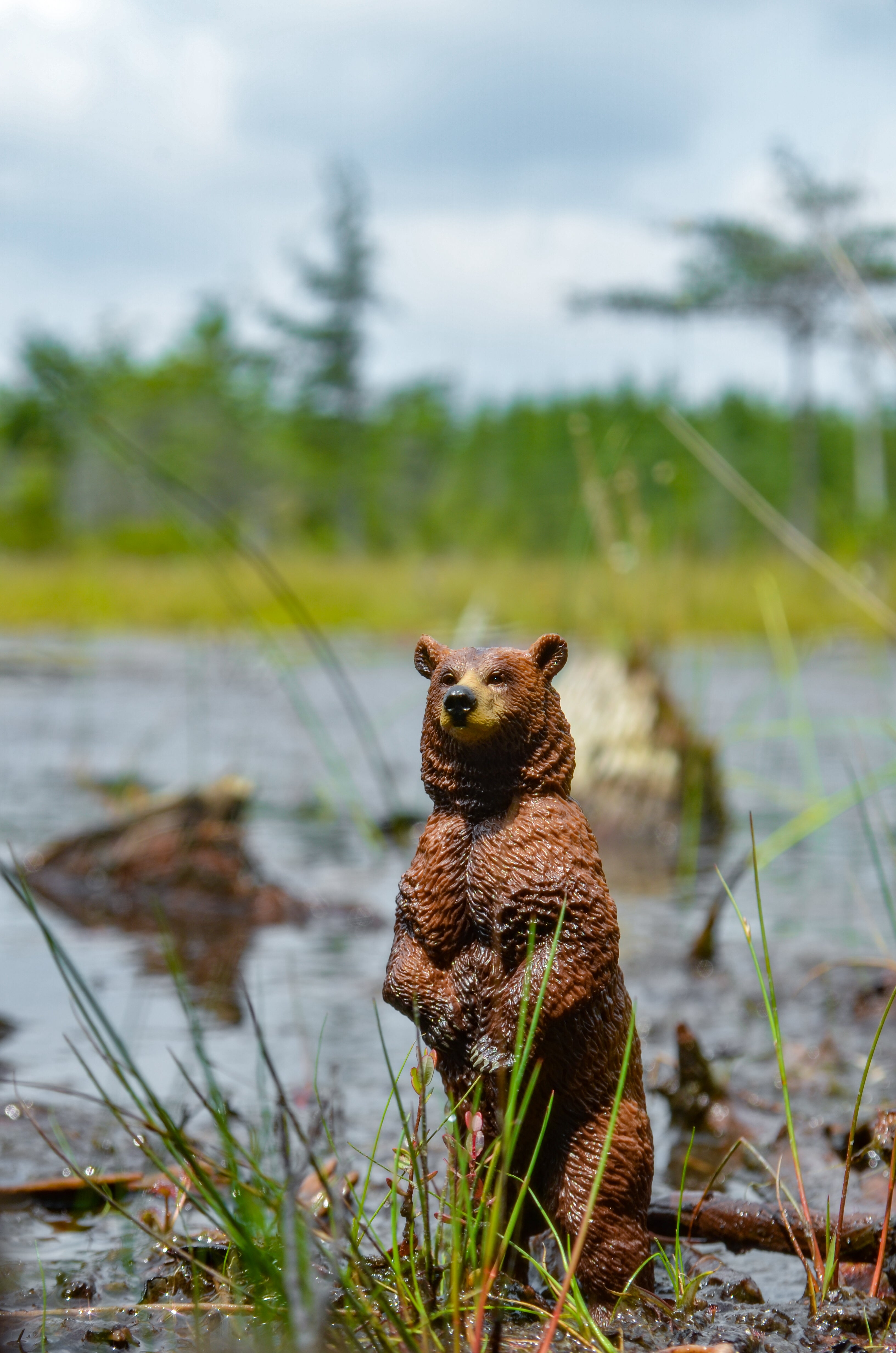 Juguete de figura de oso pardo de pie de Toymany