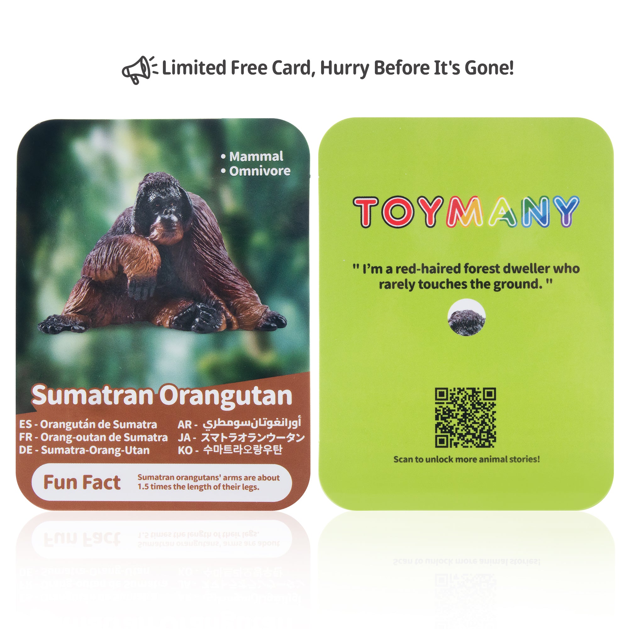 Toymany Sumatran Orangutan Figurine Toy