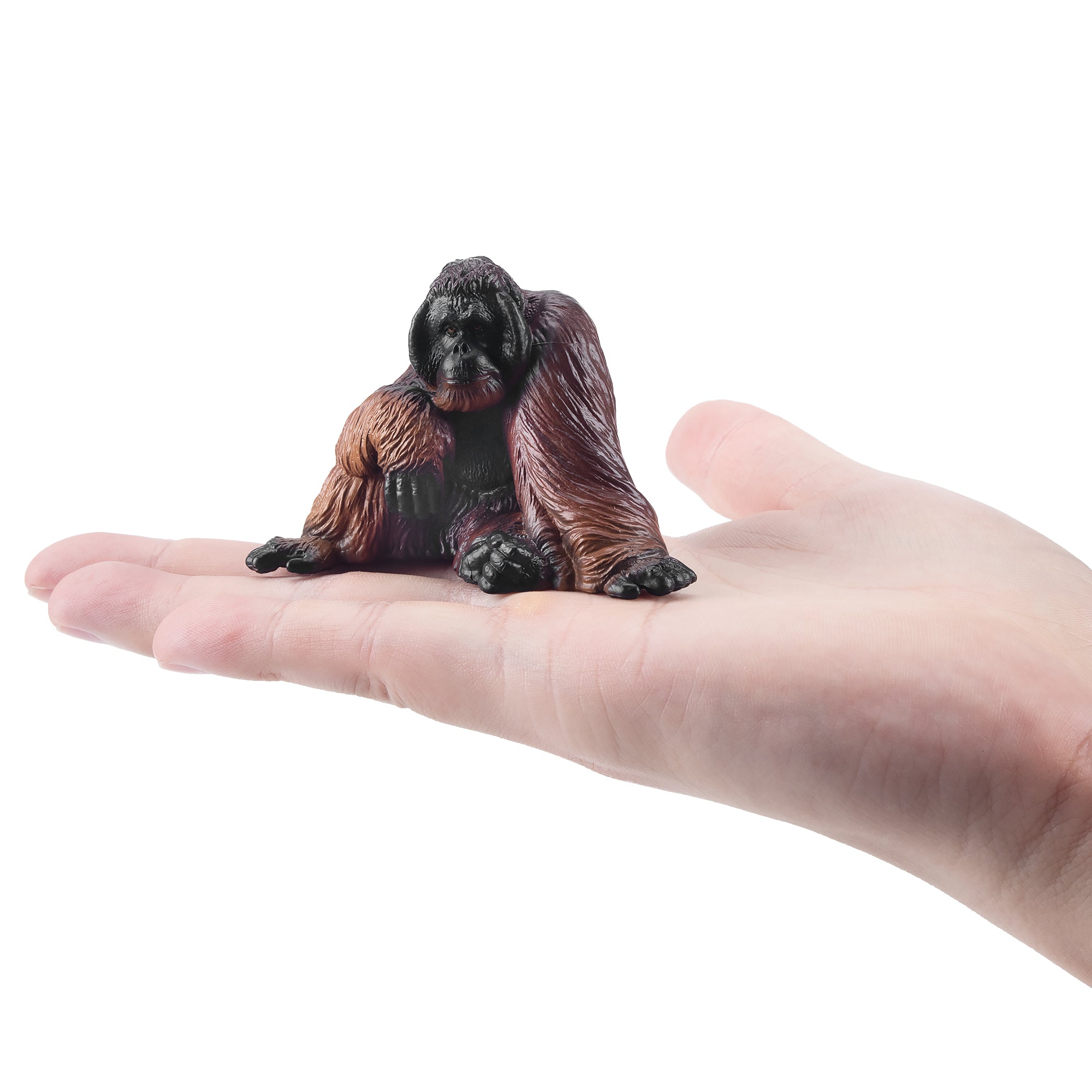 Toymany_Sumatran_Orangutan_Figurine_Toy-on_hand