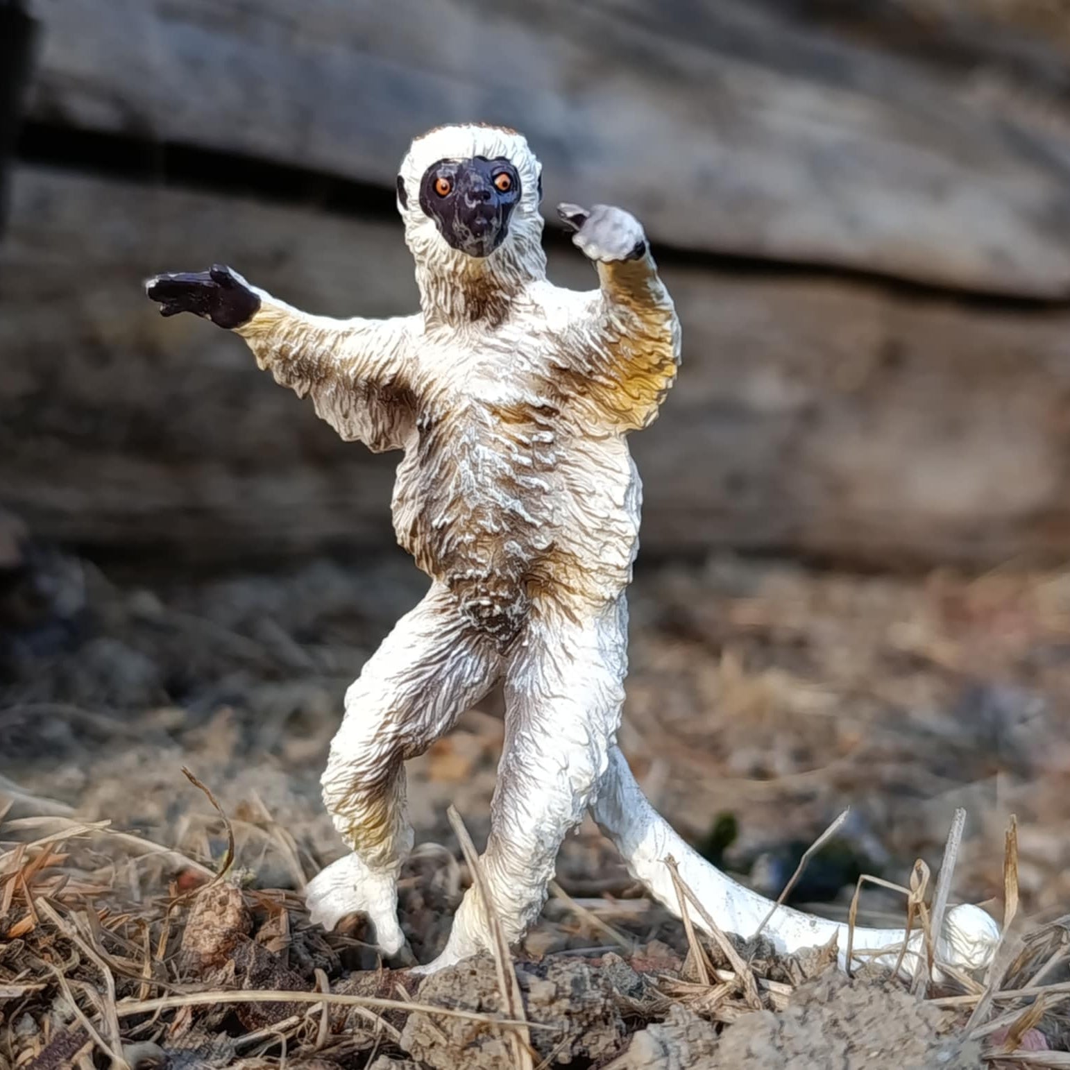 Toymany Verreaux's Sifaka Figurine Toy