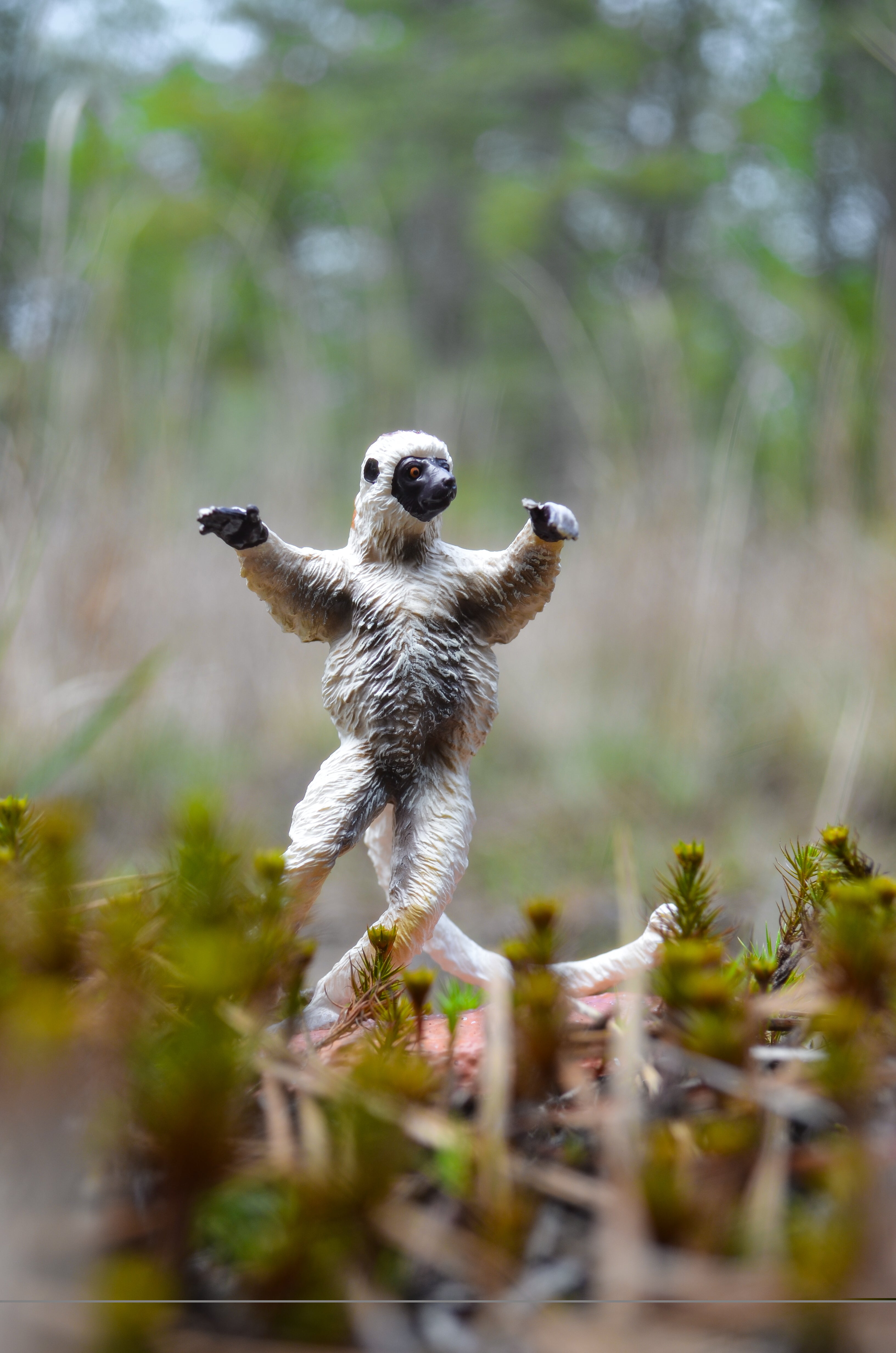 Toymany Verreaux's Sifaka Figurine Toy