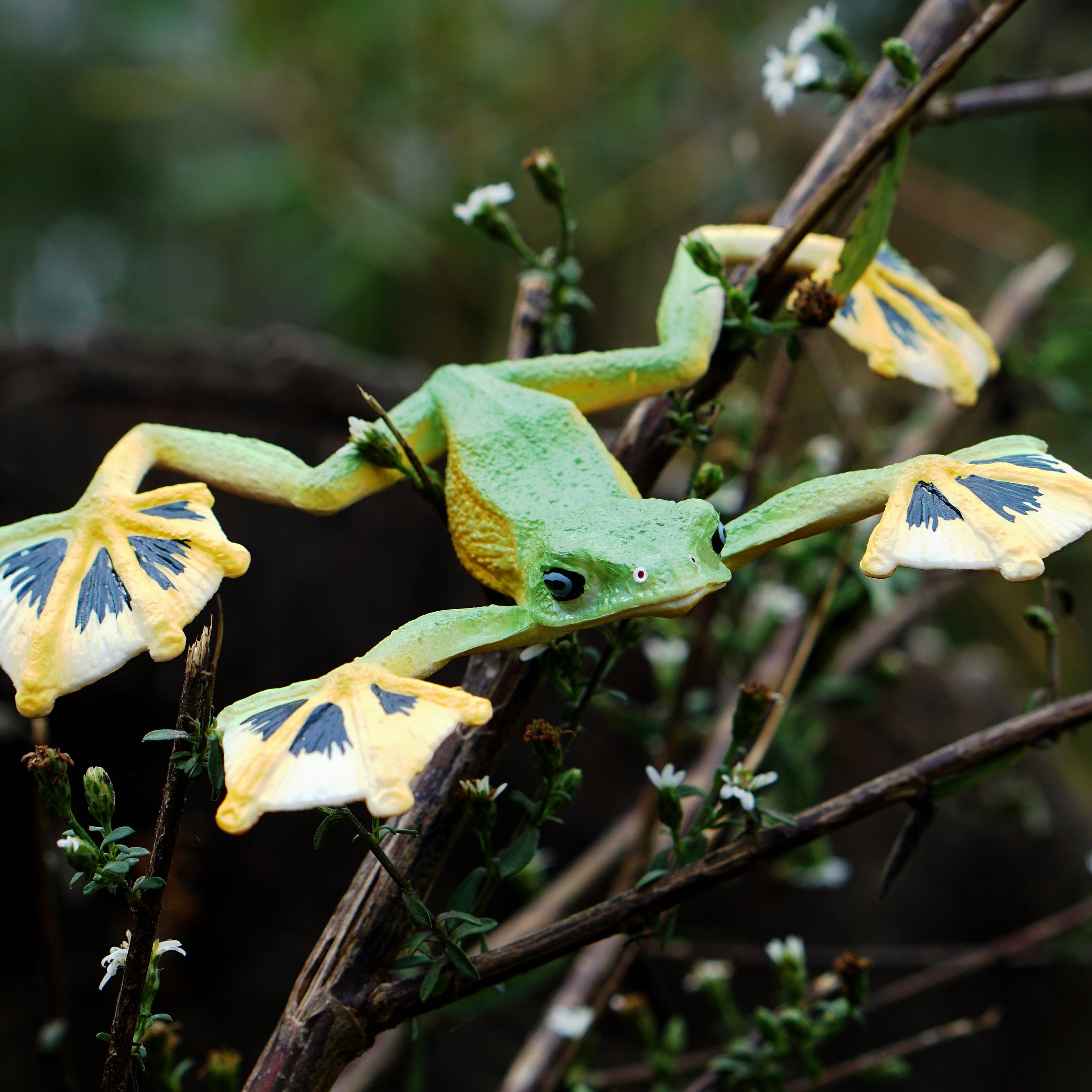 Figura de Rana Voladora de Wallace Toymany