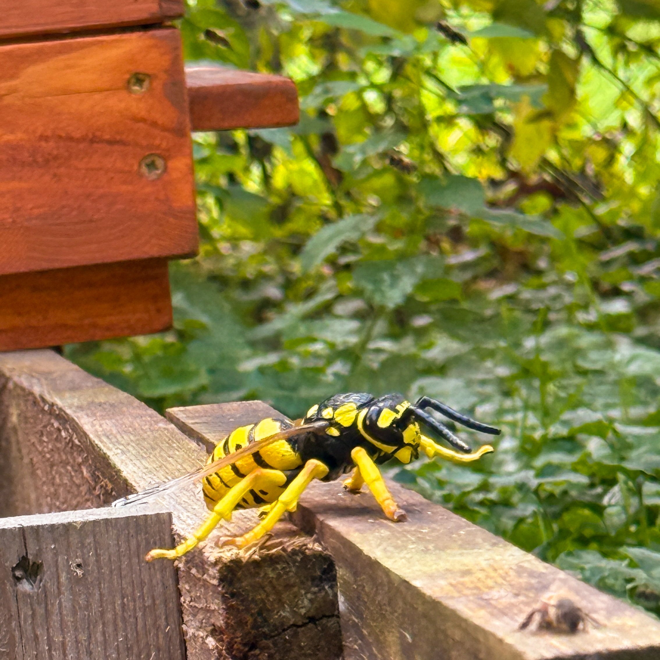 Toymany Wasp Figurine Toy