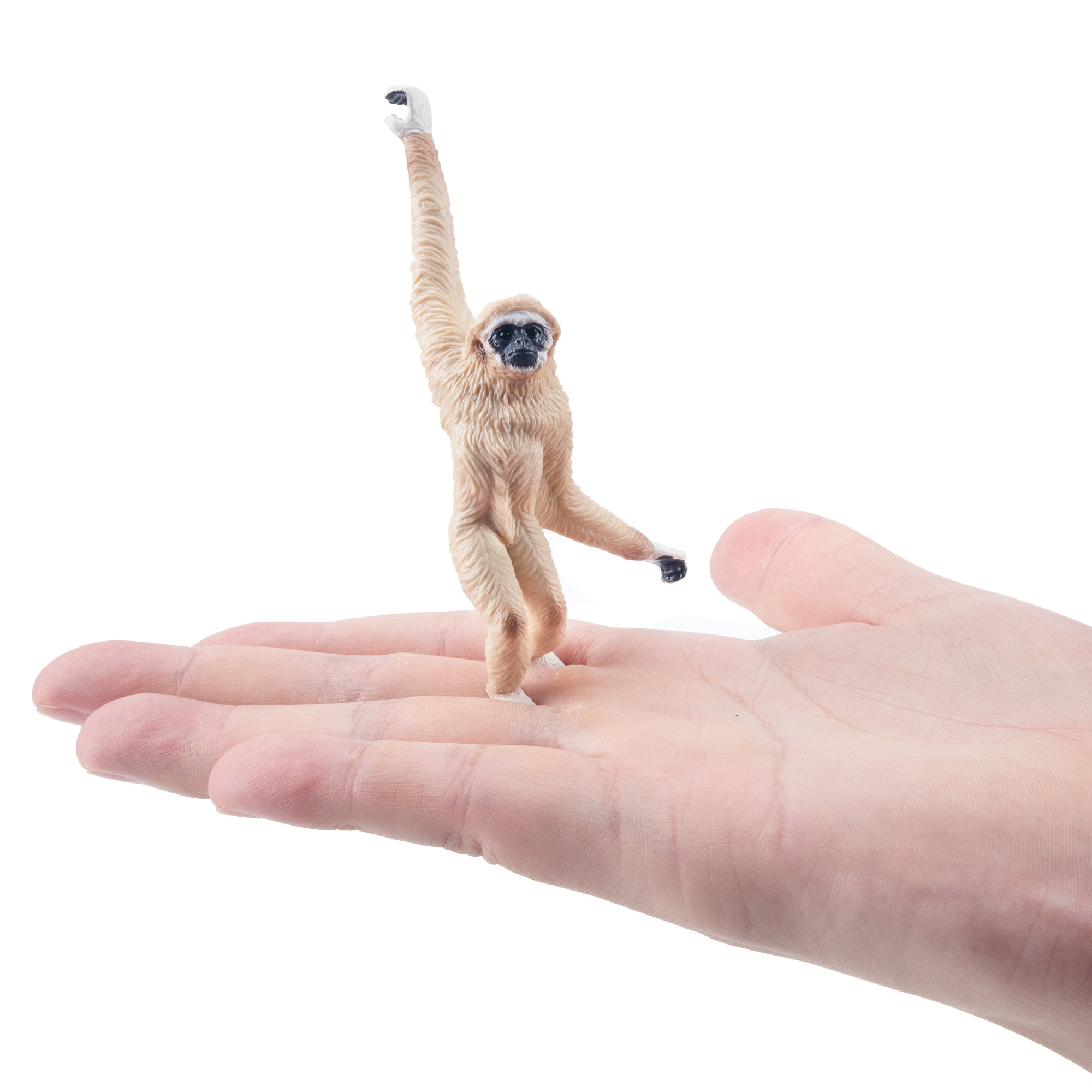Toymany_White-handed_Gibbon_Figurine_Toy-on_hand