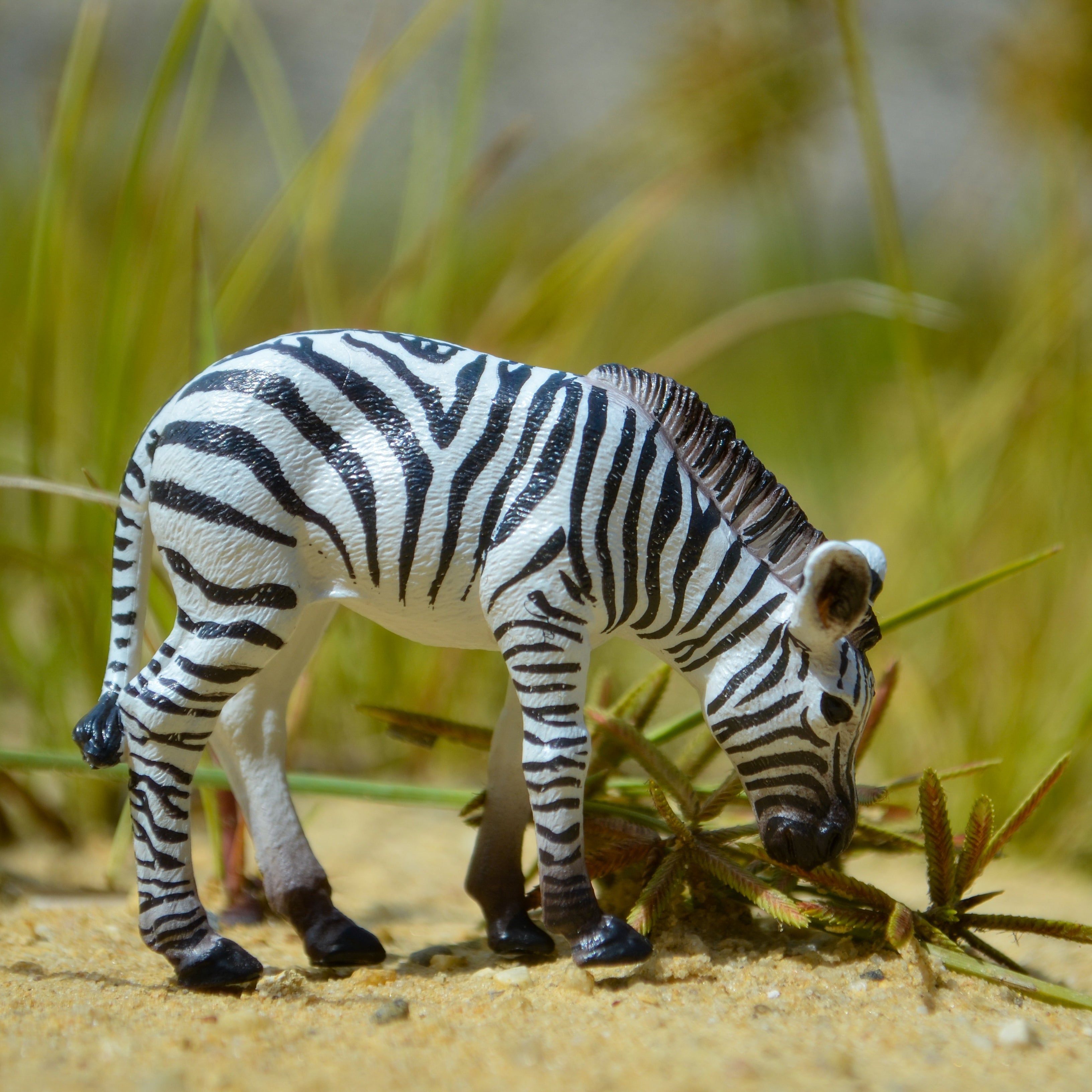 لعبة مهر الحمار الوحشي من Toymany